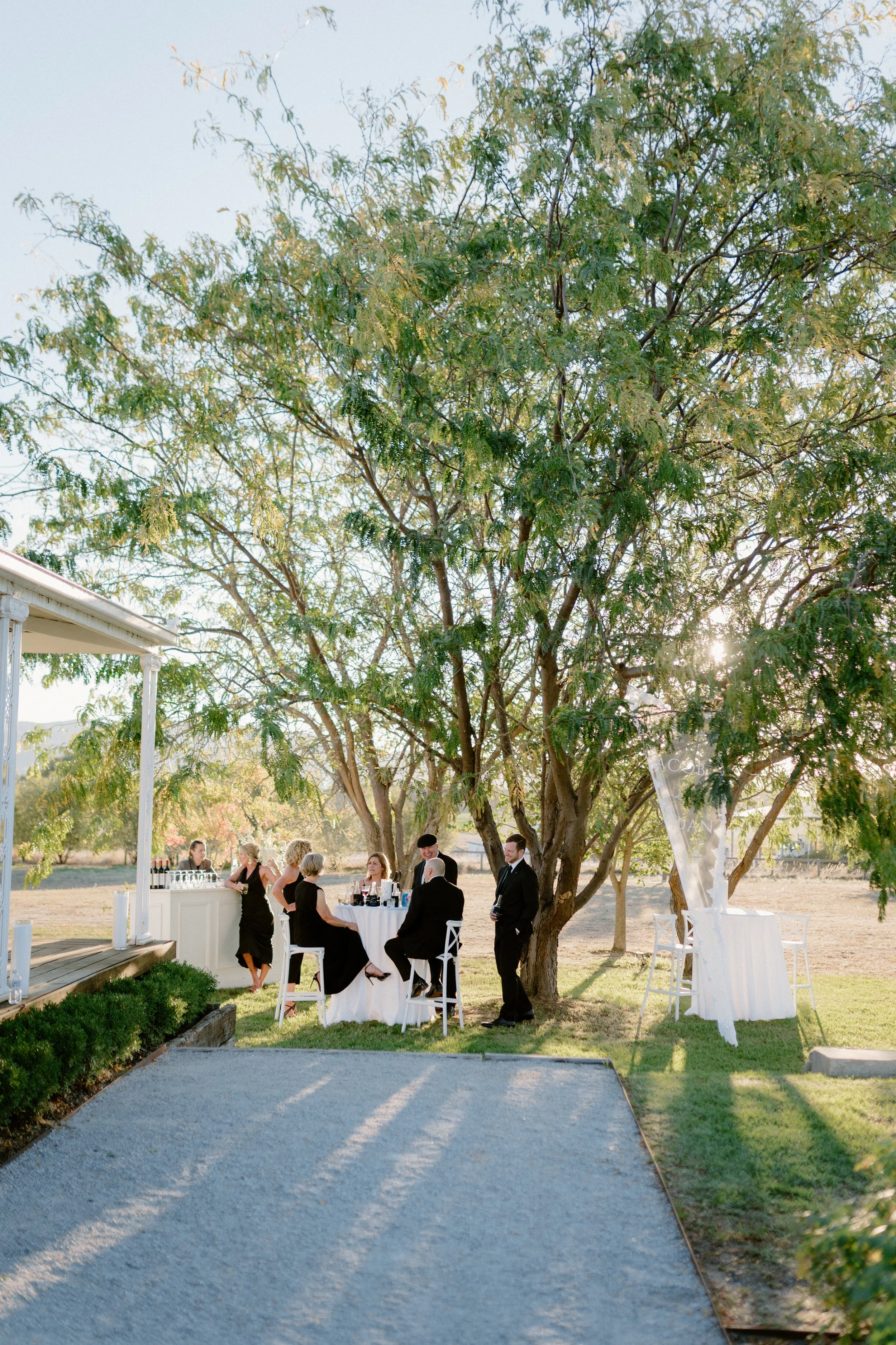 Outdoor gathering with people socializing under a large tree with green leaves and sunlight filtering through, in a garden or backyard setting.