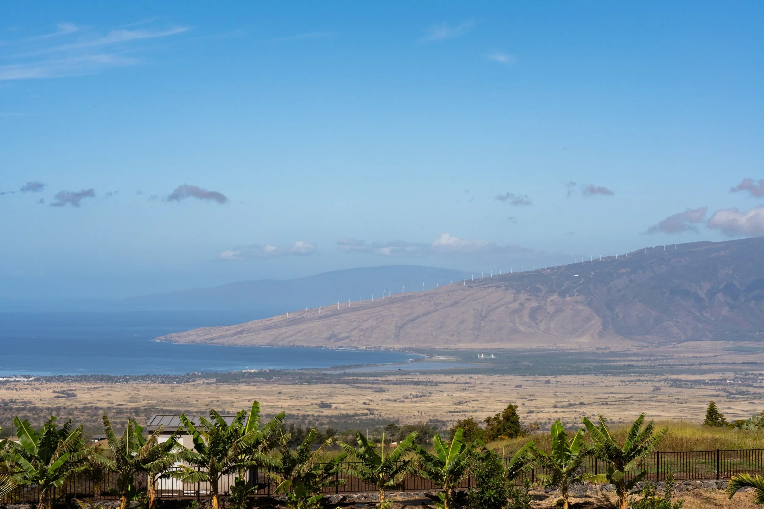 272 Huahua St - 36.JPG