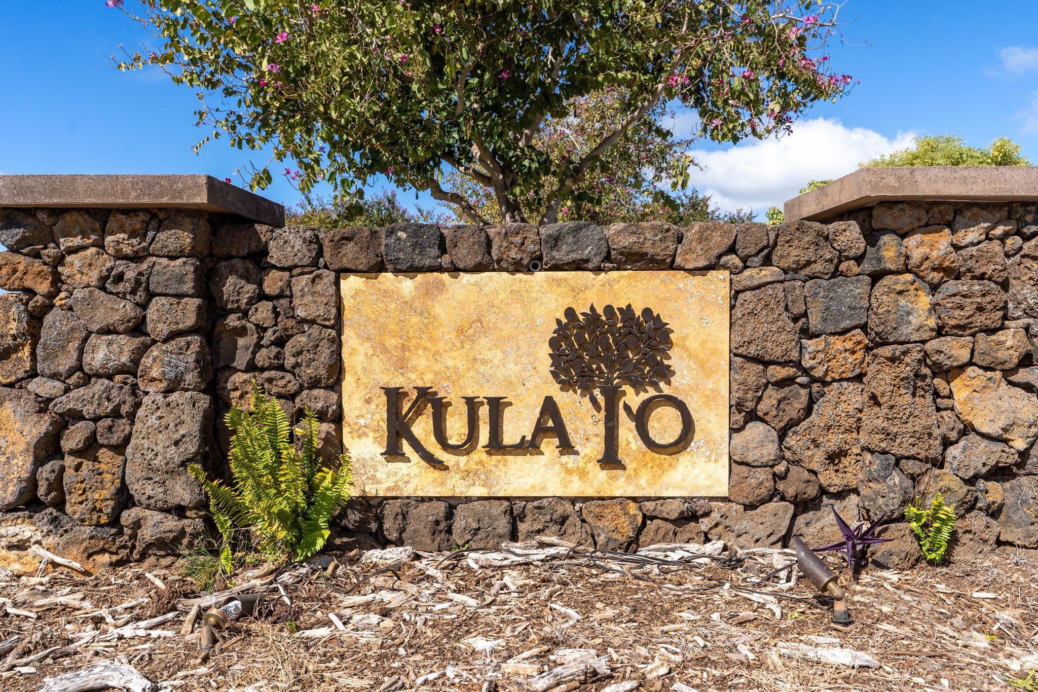 272 Huahua St - 1.jpg