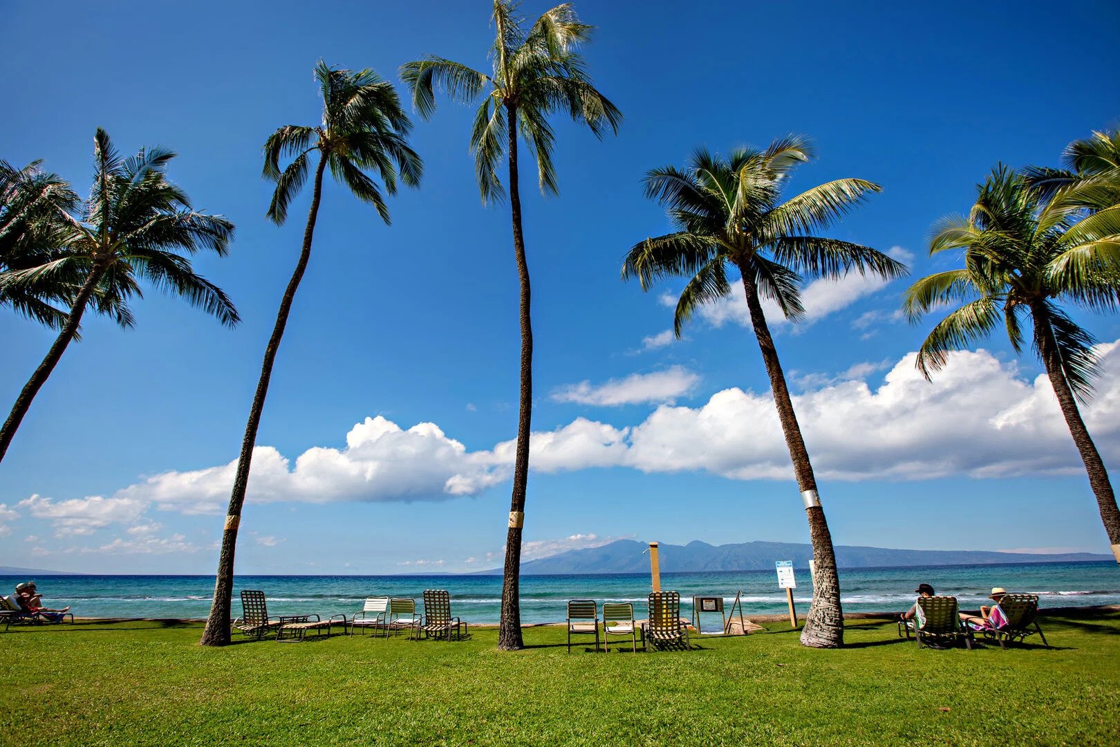 Paki Maui 220 - 29.jpg