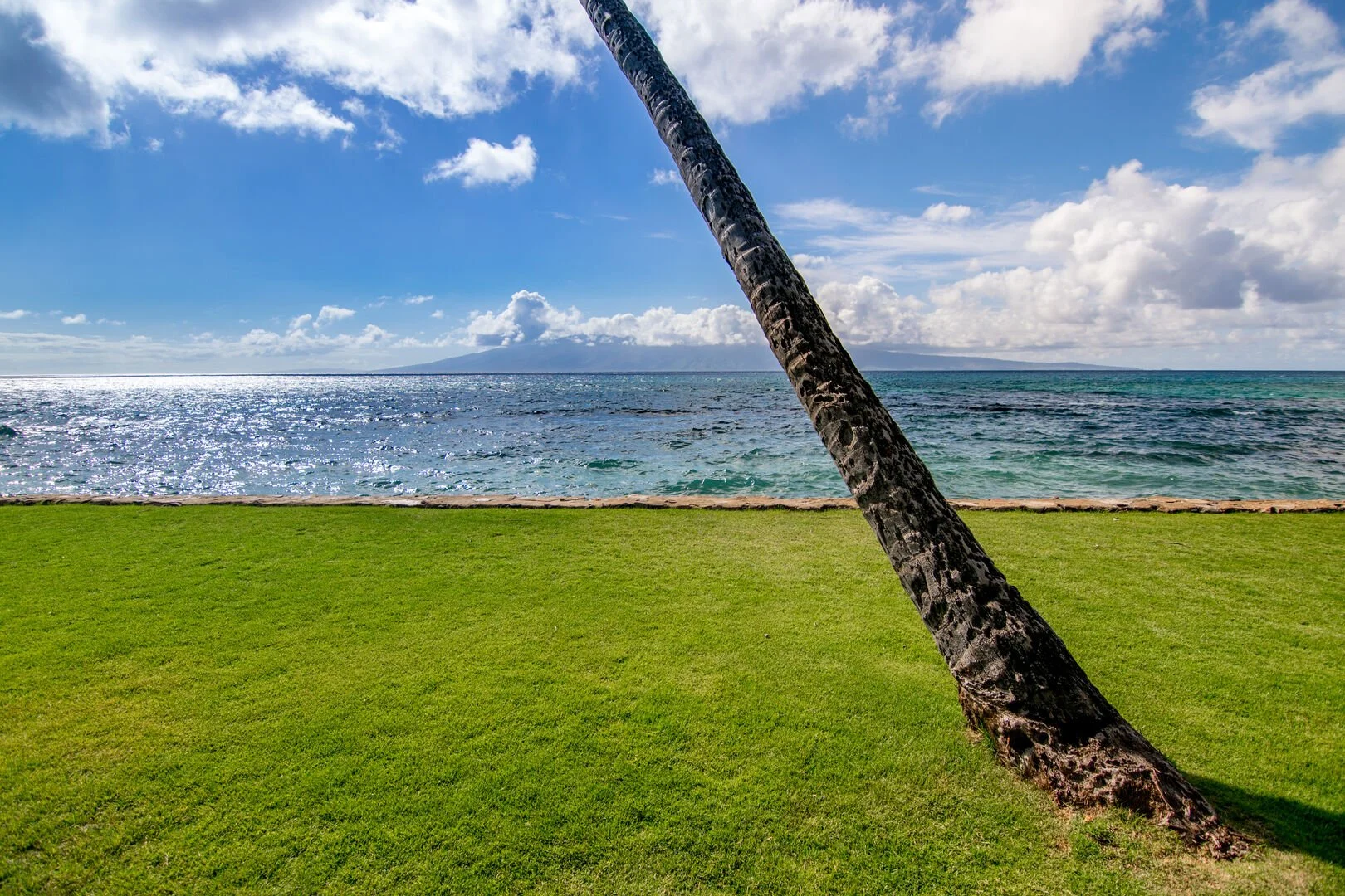 Papakea Resort C205 - 42.jpeg