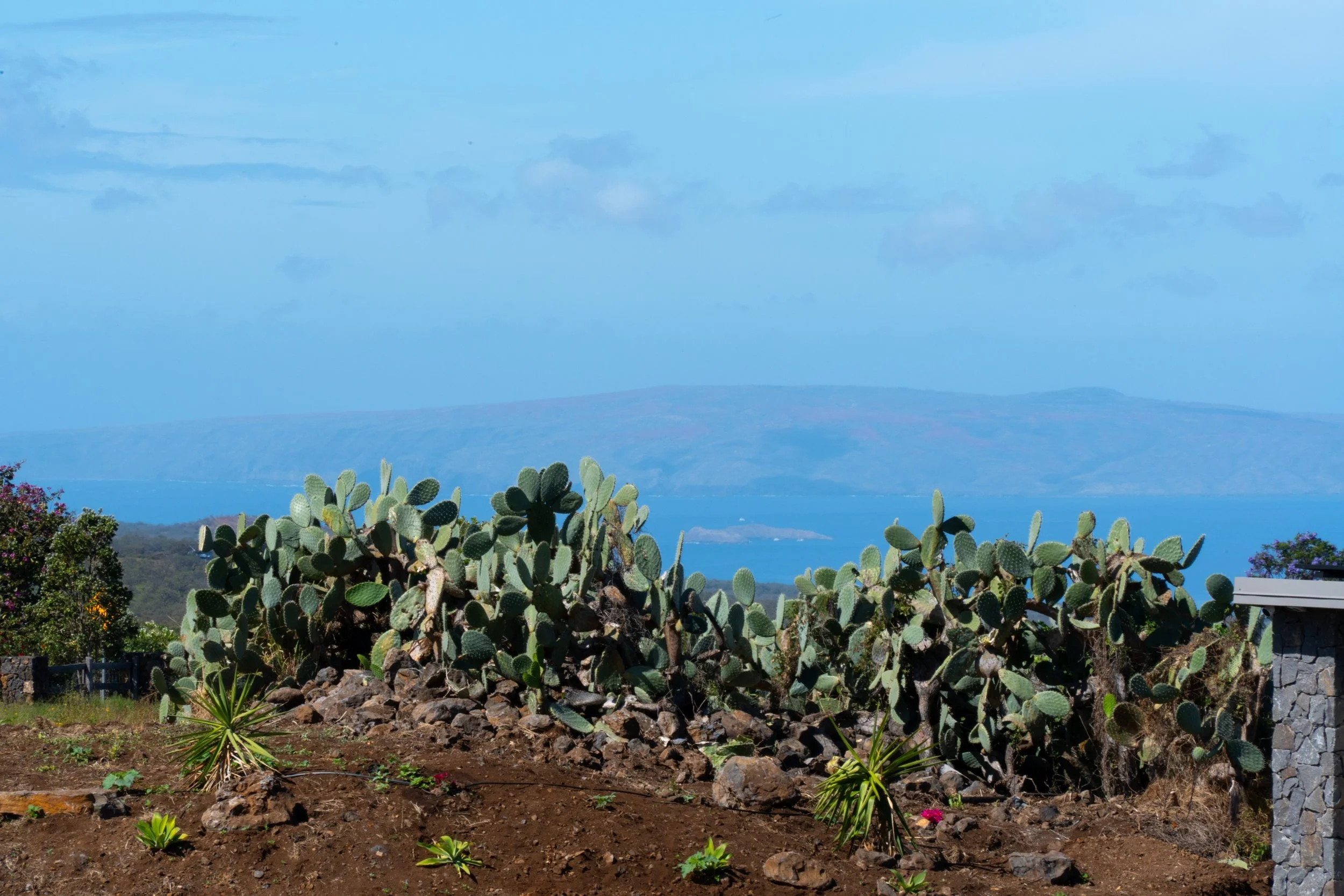 272 Huahua St - 34.JPG