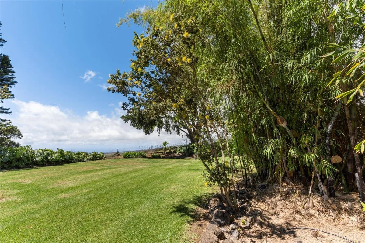 506 Kolohala Dr - 47.jpg