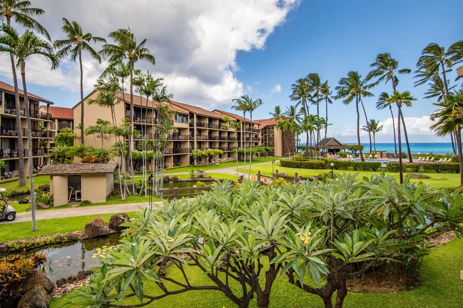 Papakea Resort C205 - 2.jpeg