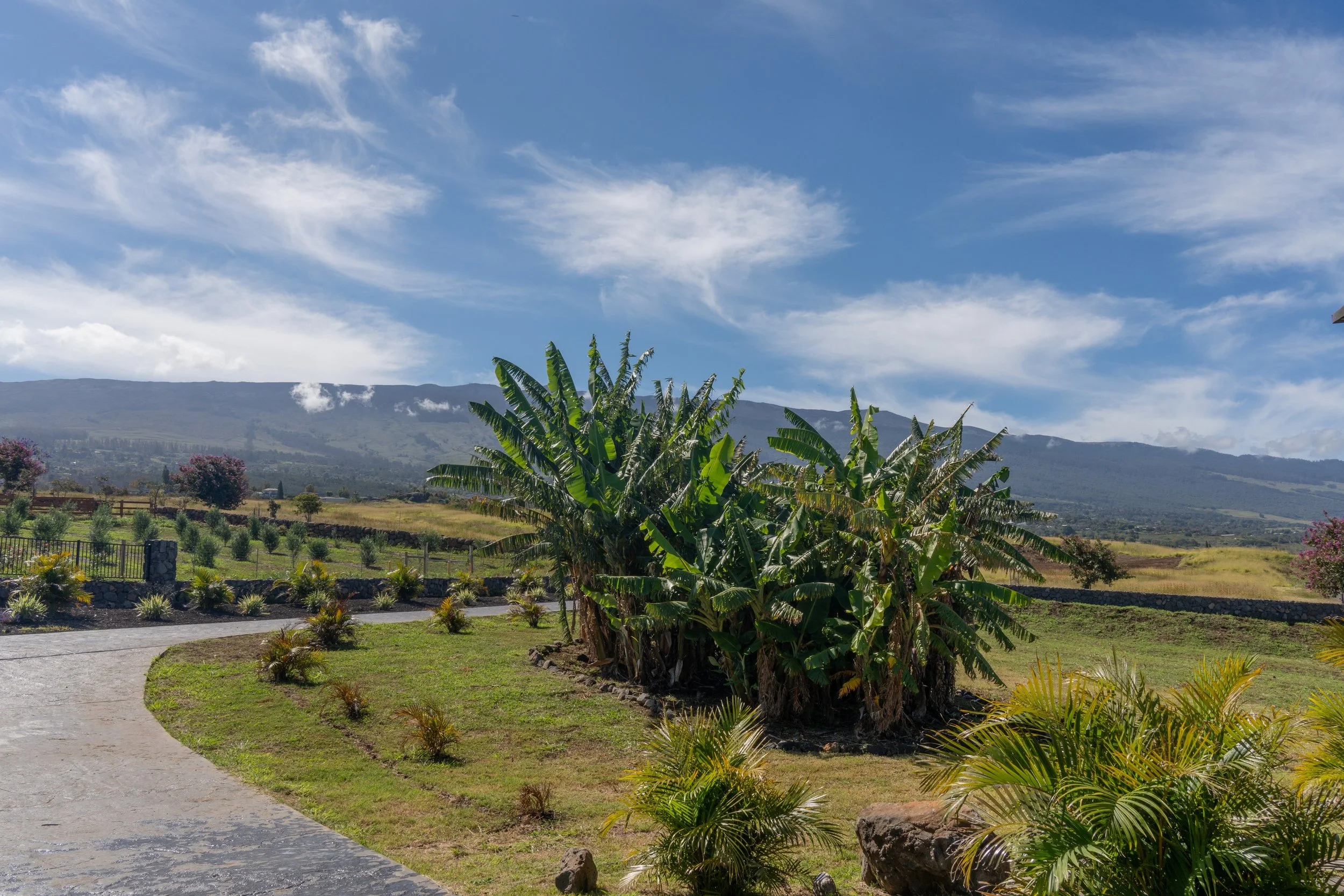 272 Huahua St - 33.JPG