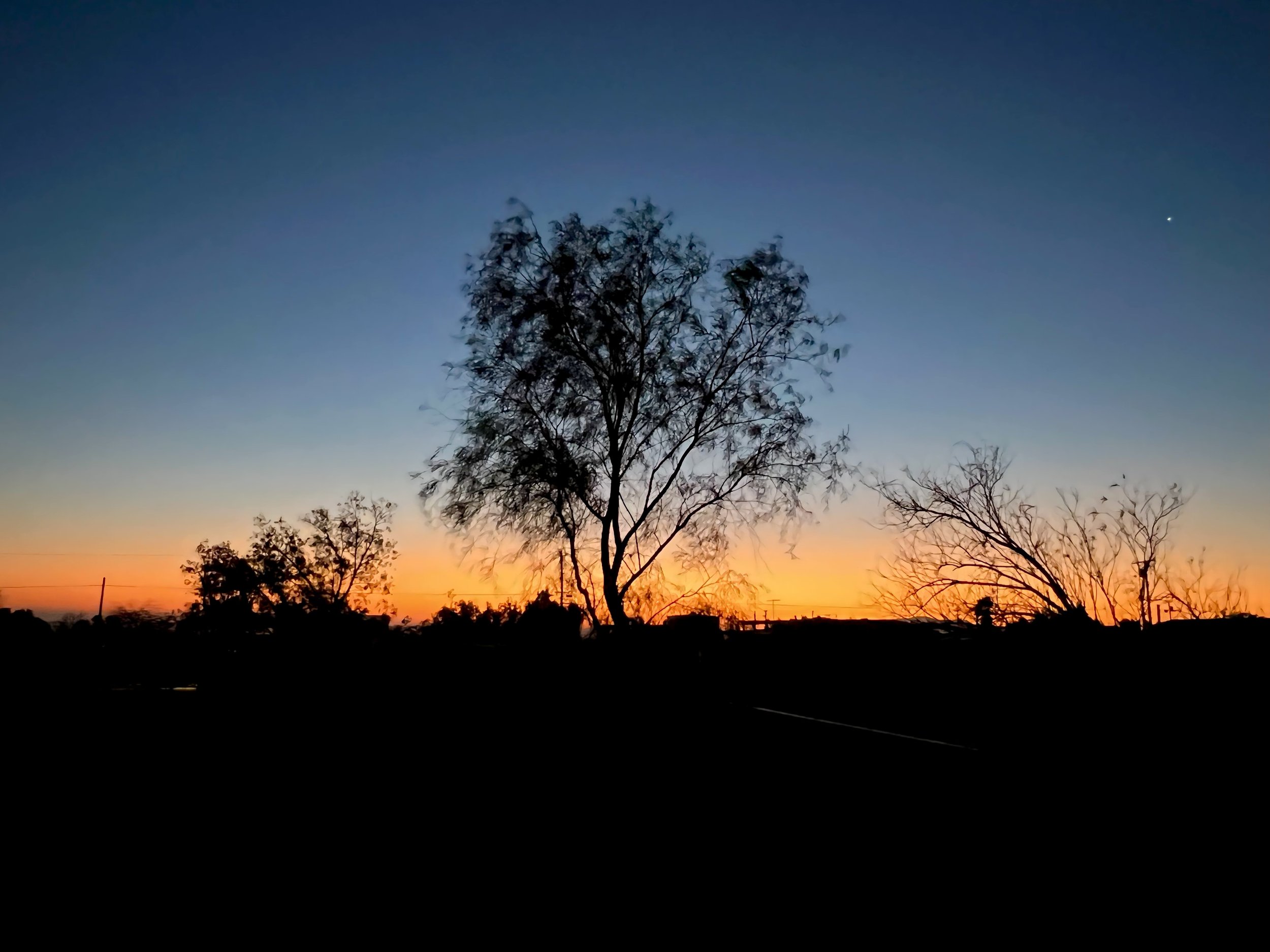 IMG_0614.jpeg