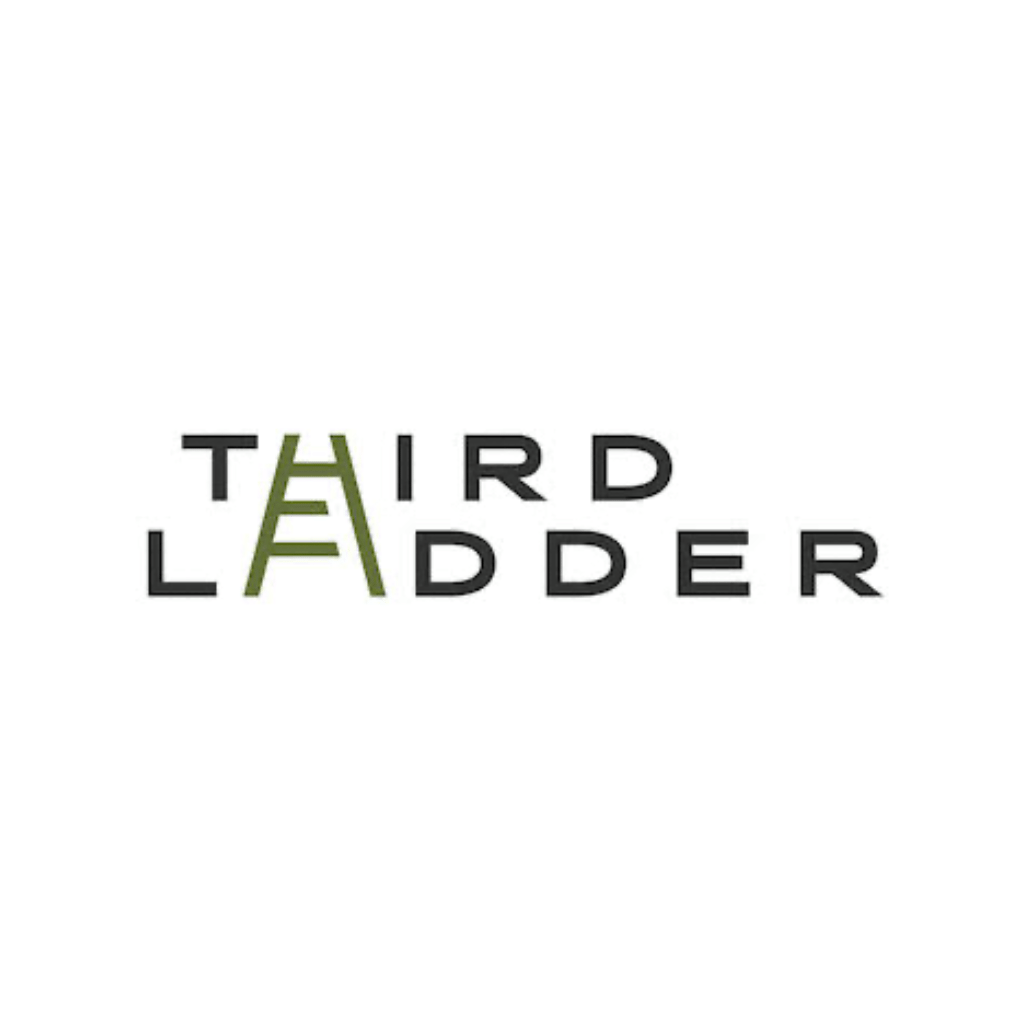third-ladder.png