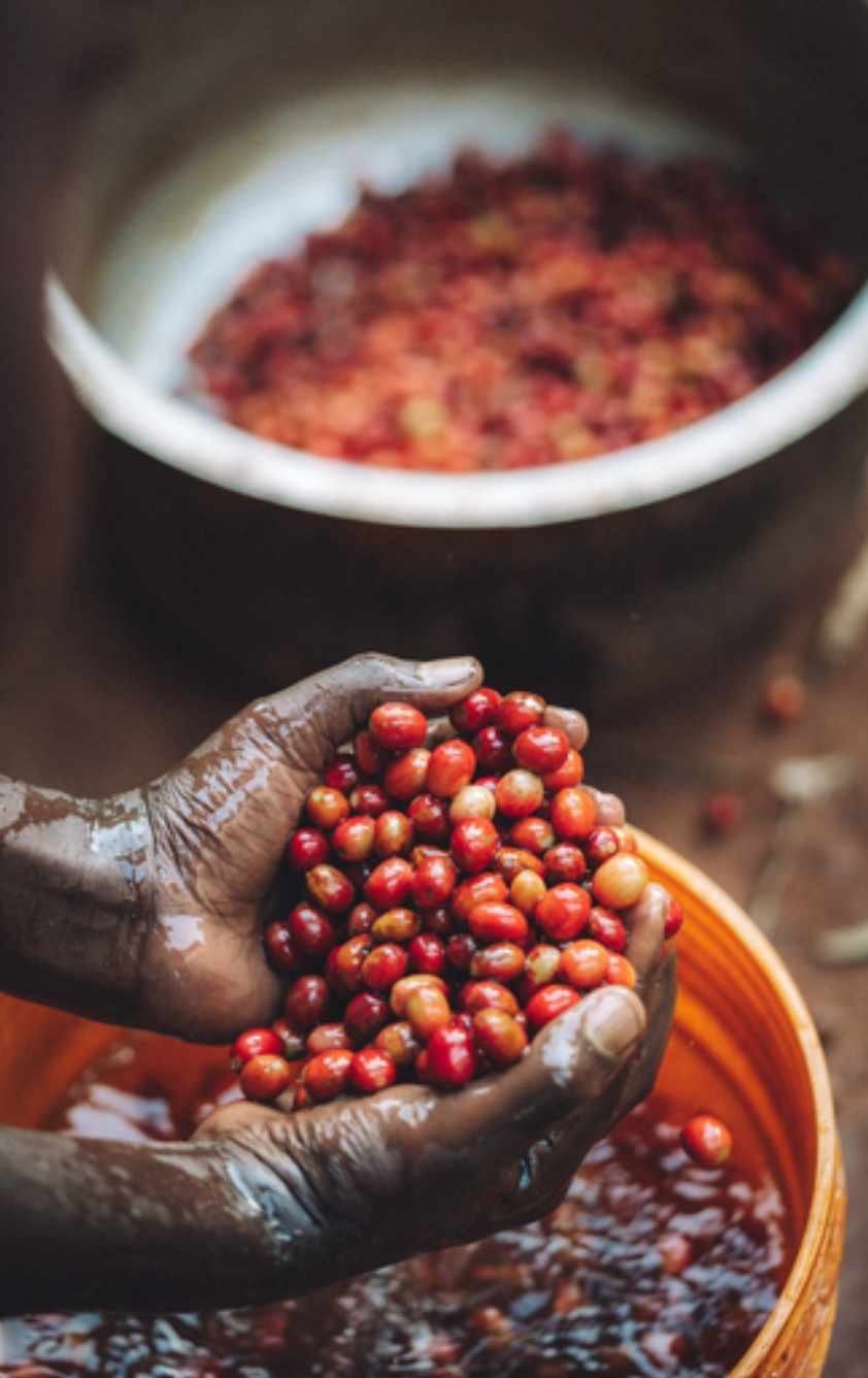 Screenshot 2026-03-19 at 10.06.47 AM.png