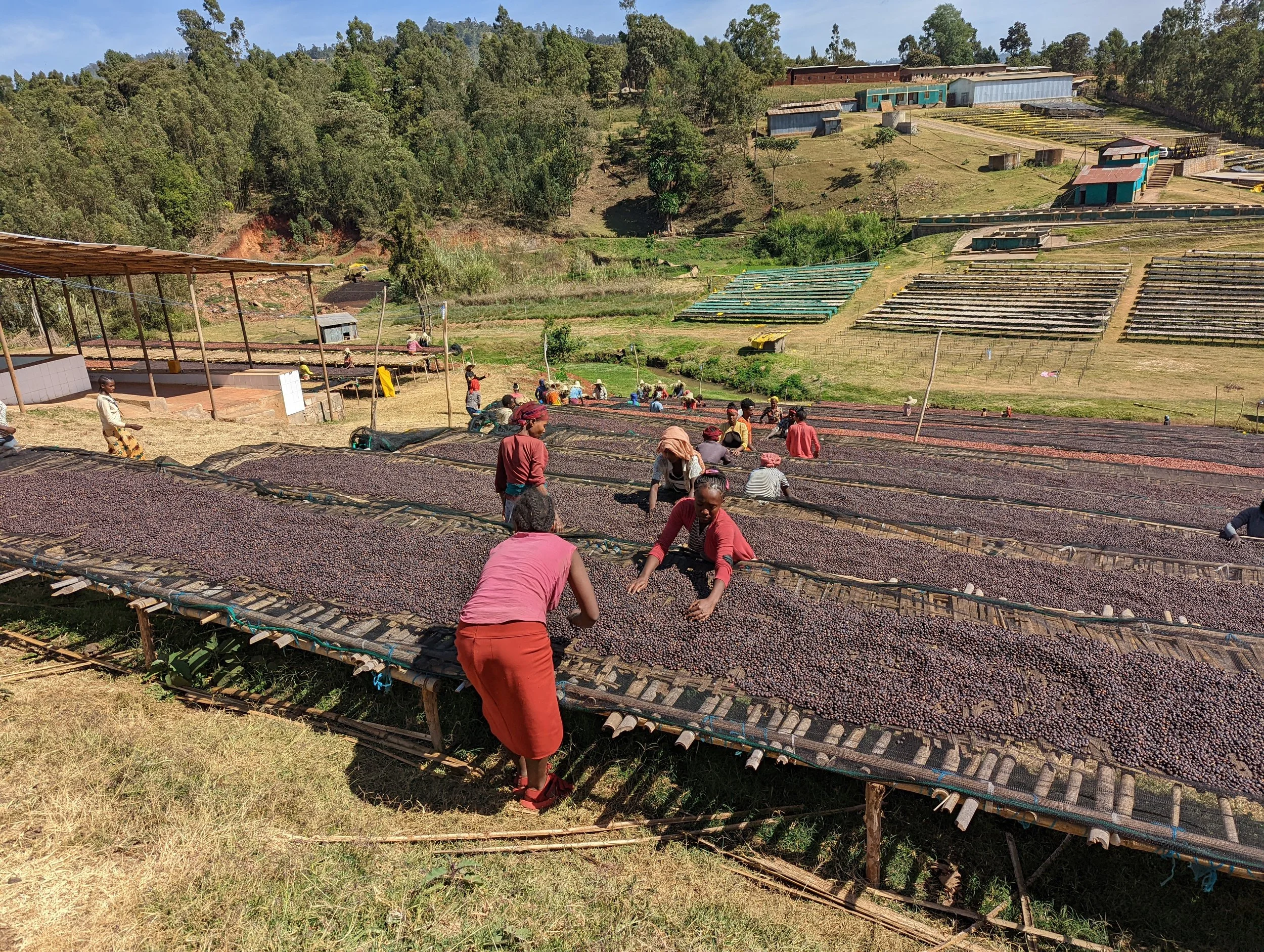 PXL_20211223_111130203 (1).jpg