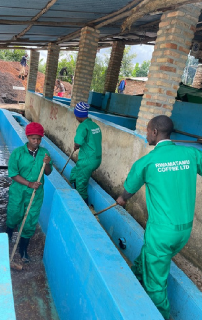 Screenshot 2026-01-06 at 11.19.02 AM.png