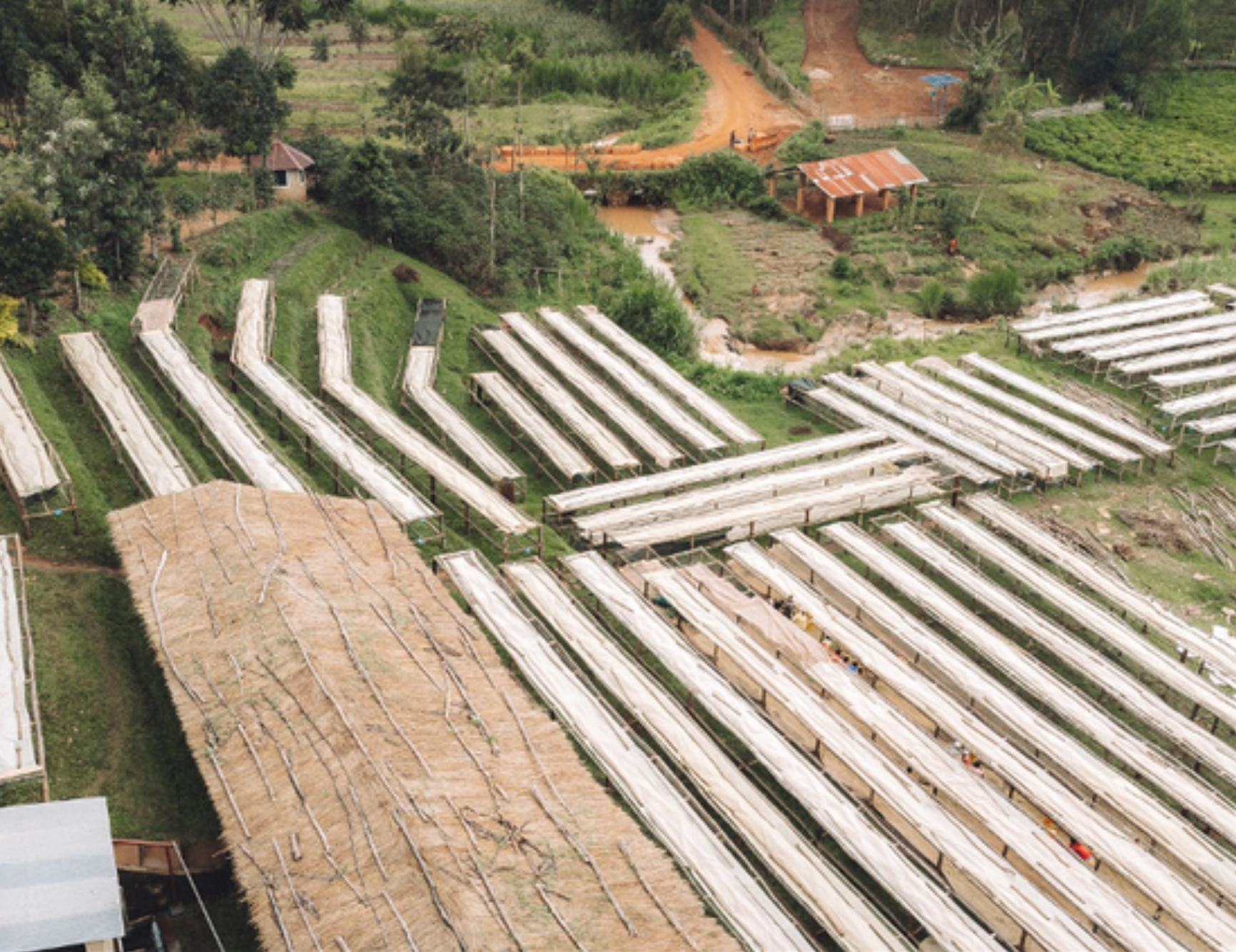 Screenshot 2026-03-19 at 10.06.32 AM.png