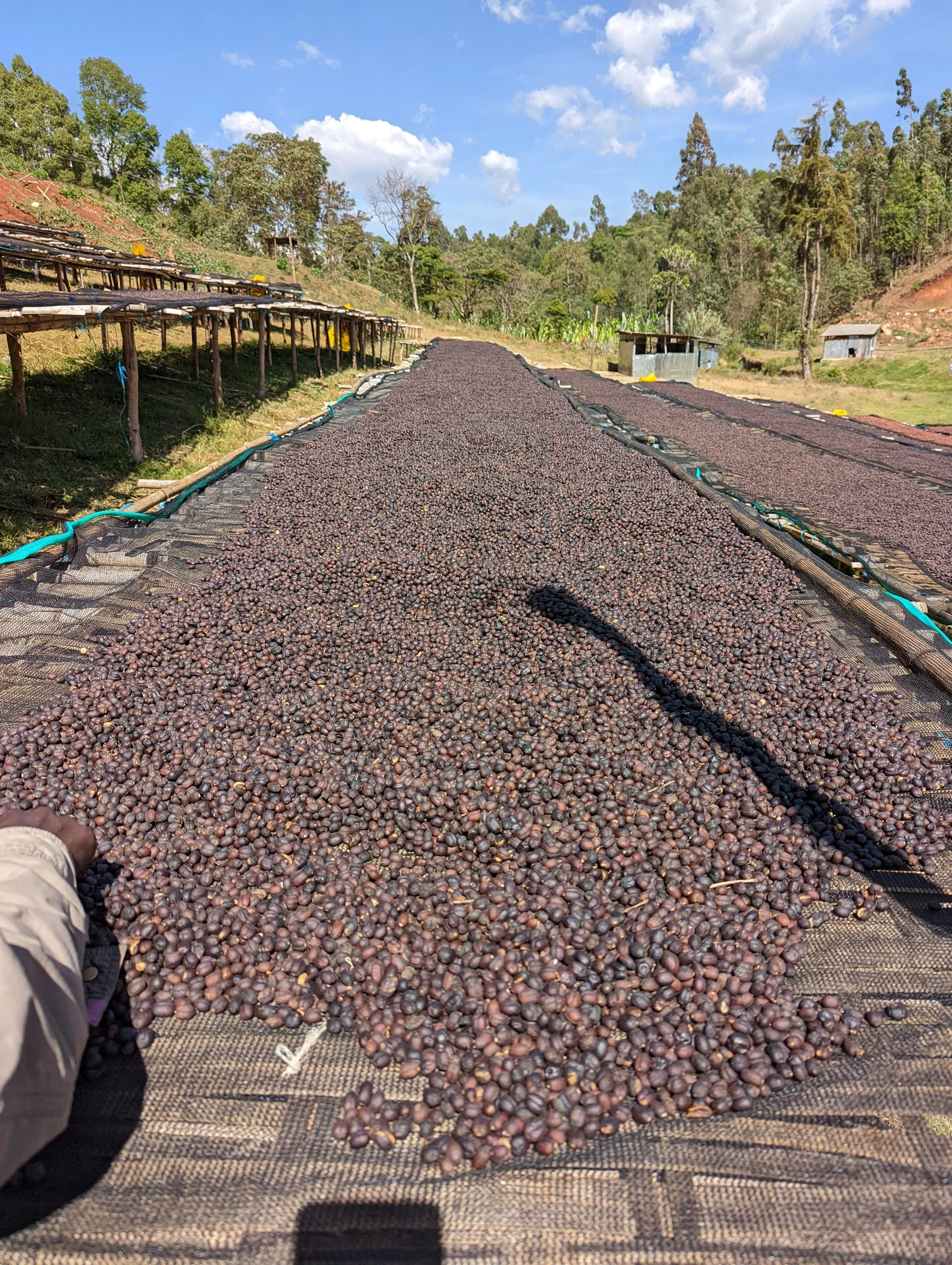 PXL_20211223_105824316 (1).jpg