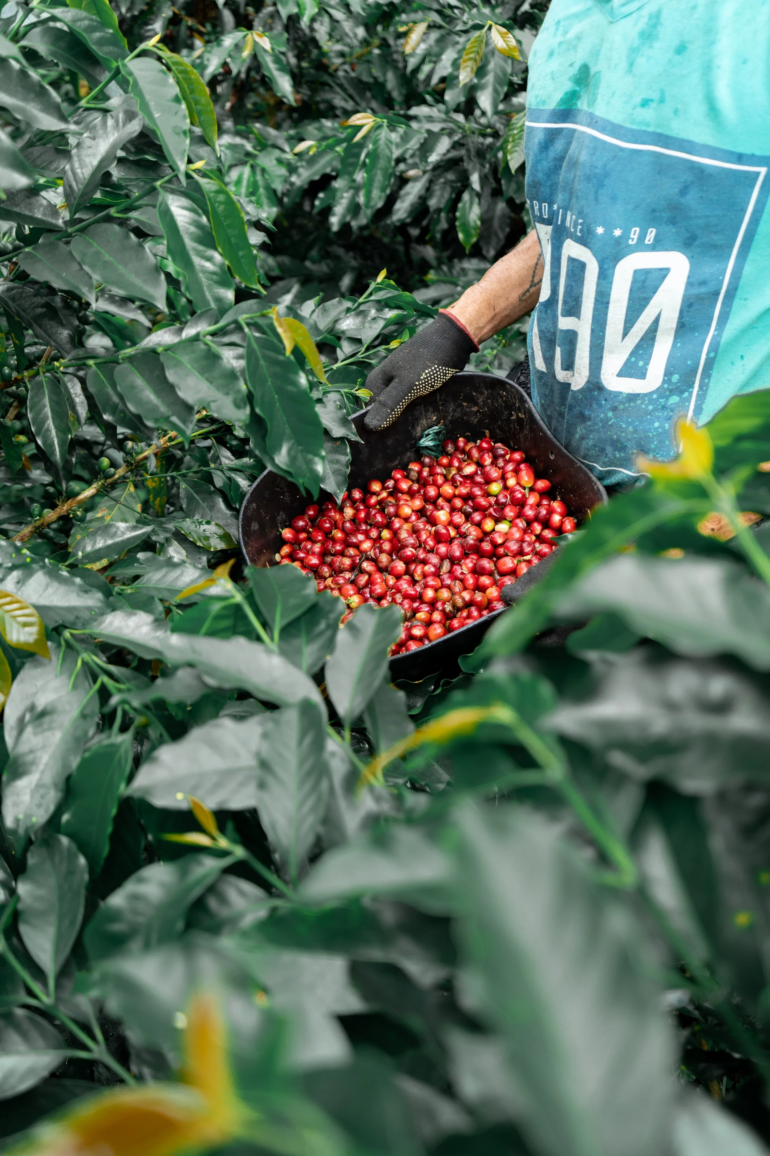 unblende sofia-15.jpg