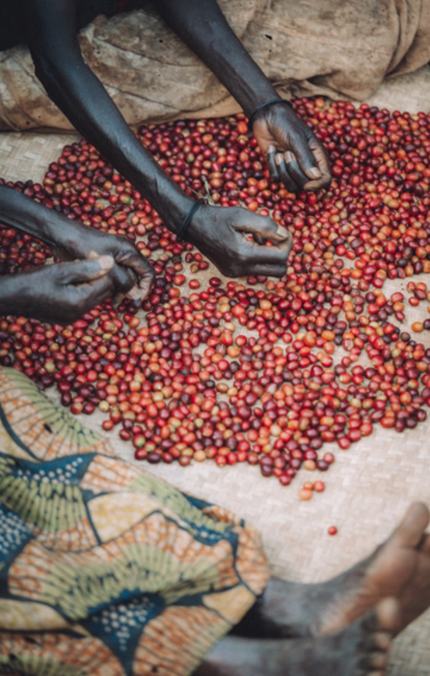 Screenshot 2026-03-19 at 10.06.17 AM.png