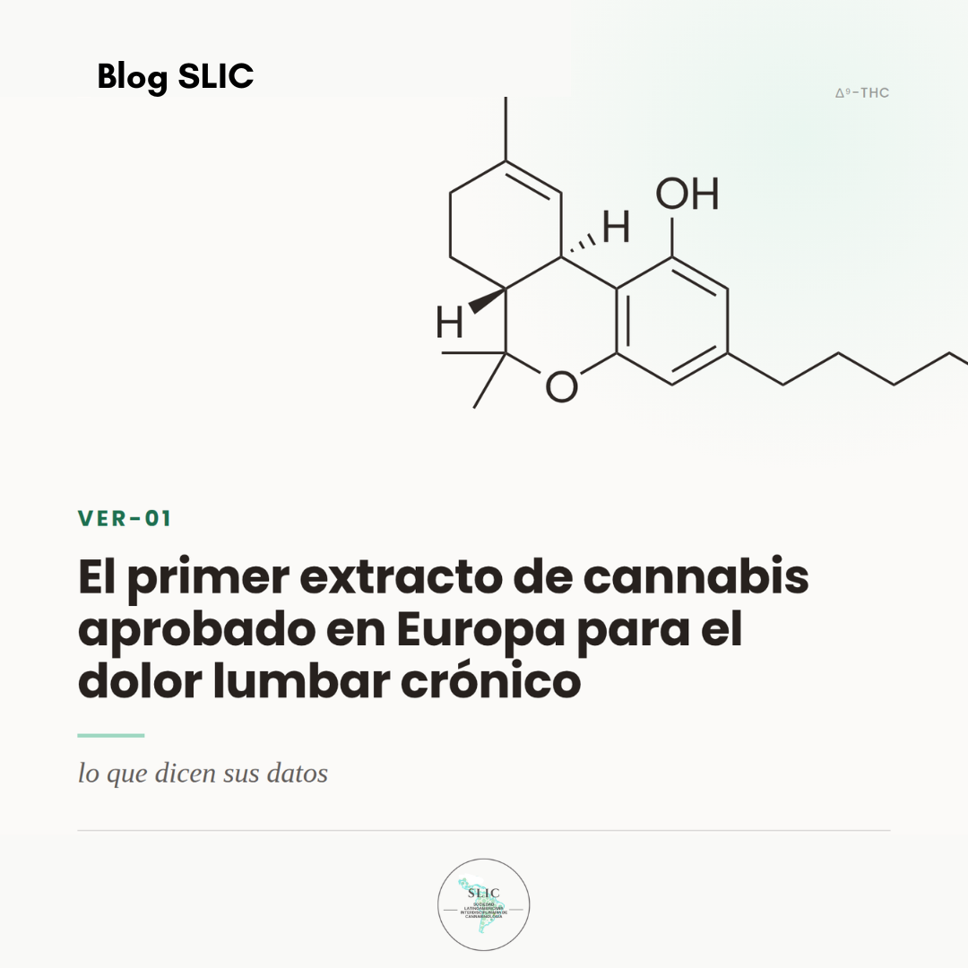 VER-01 - el primer extracto de cannabis aprobado en Europa para el dolor lumbar crónico:&nbsp; lo que dicen sus datos