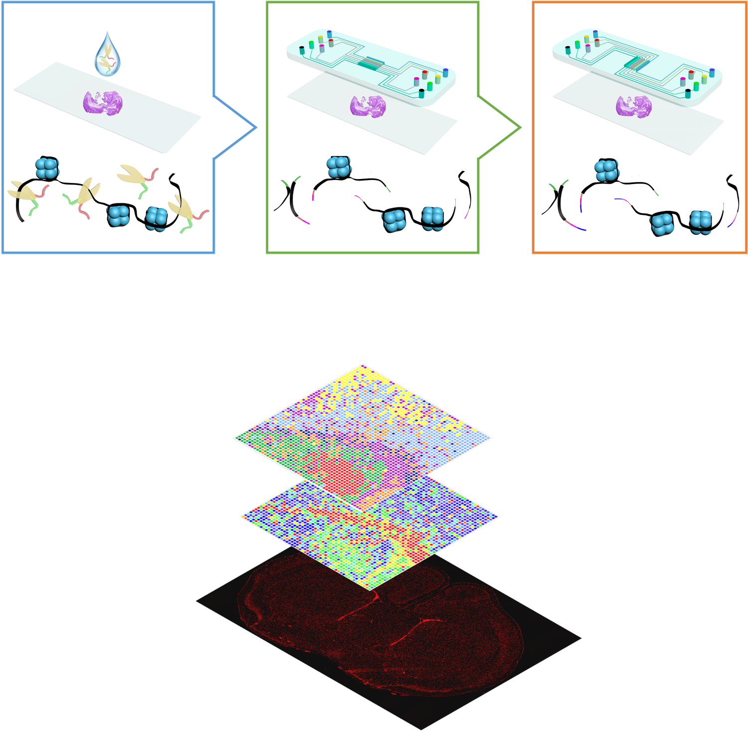 YANXIANG DENG LAB @ PENN