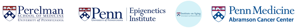 YANXIANG DENG LAB @ PENN