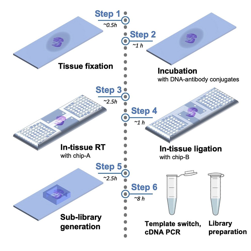 RESOURCES — YANXIANG DENG LAB @ PENN