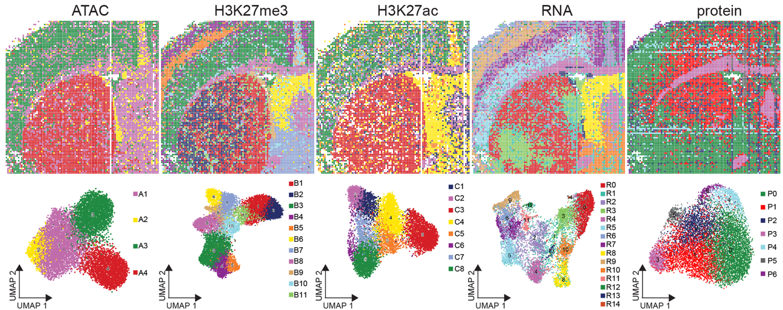 PUBLICATIONS — YANXIANG DENG LAB @ PENN