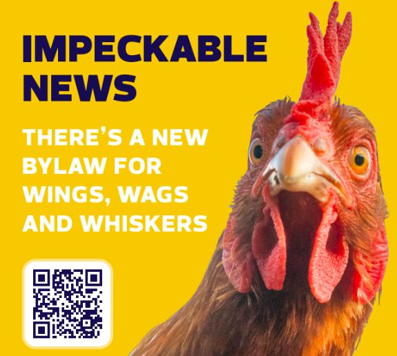 City of Edmonton Animal Care and Control Bylaw Update