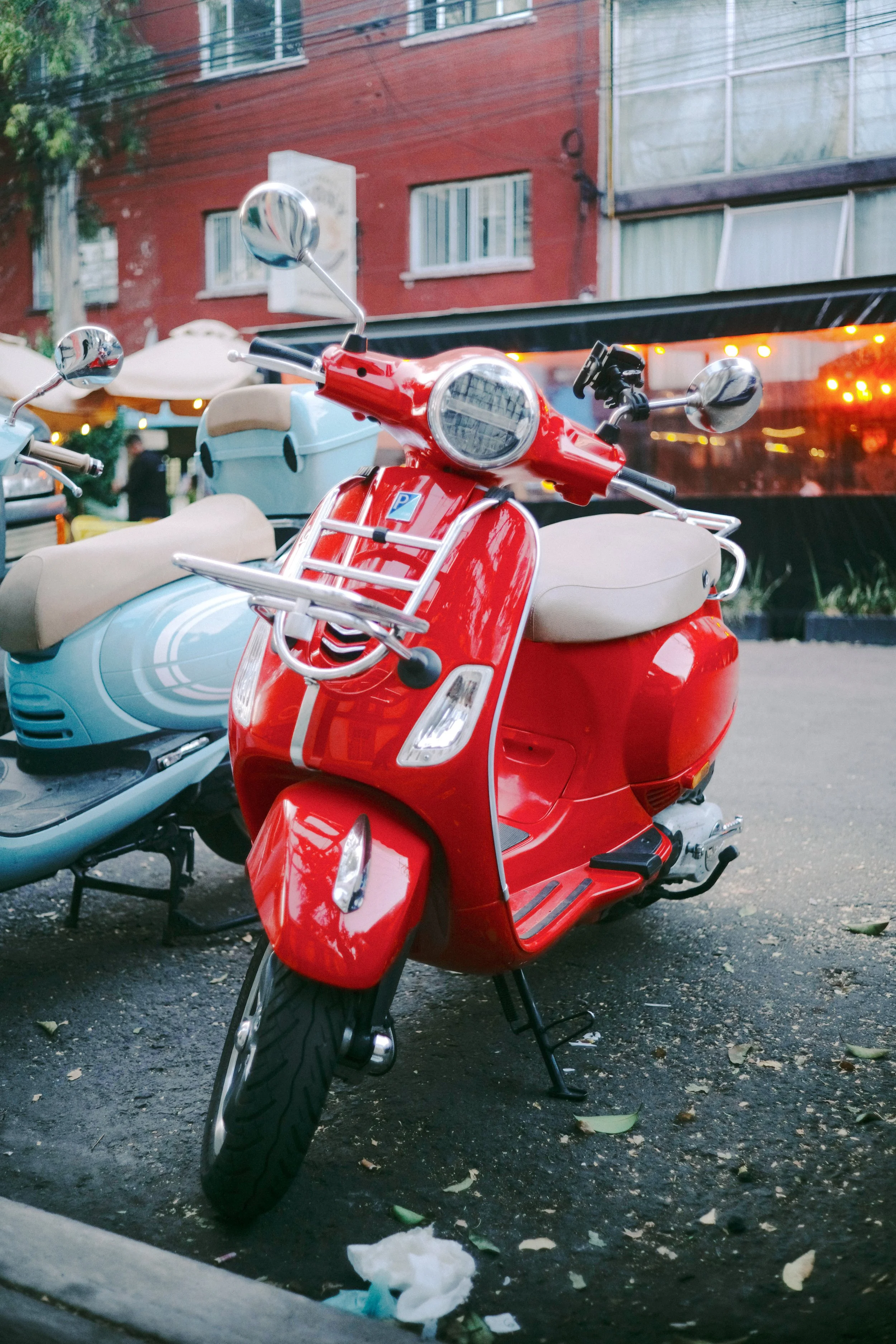 L1007010.JPG