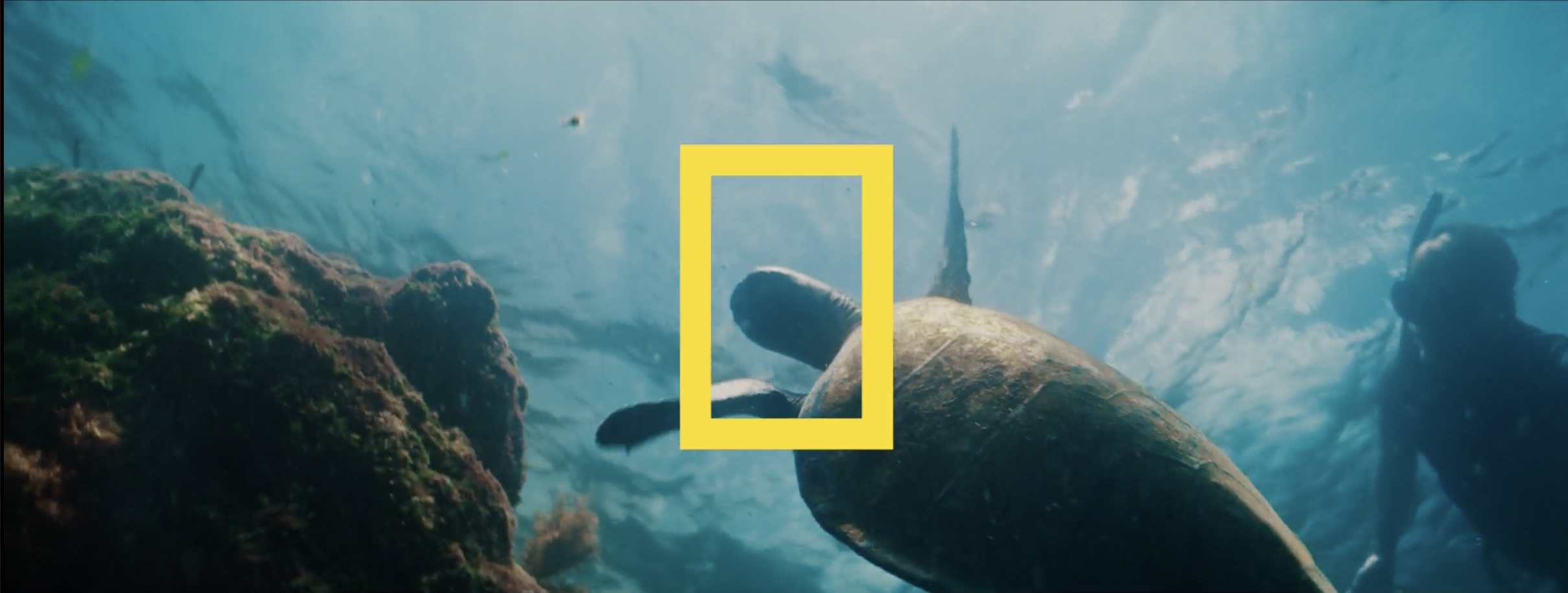 ReFrame Travel | National Geographic Expeditions