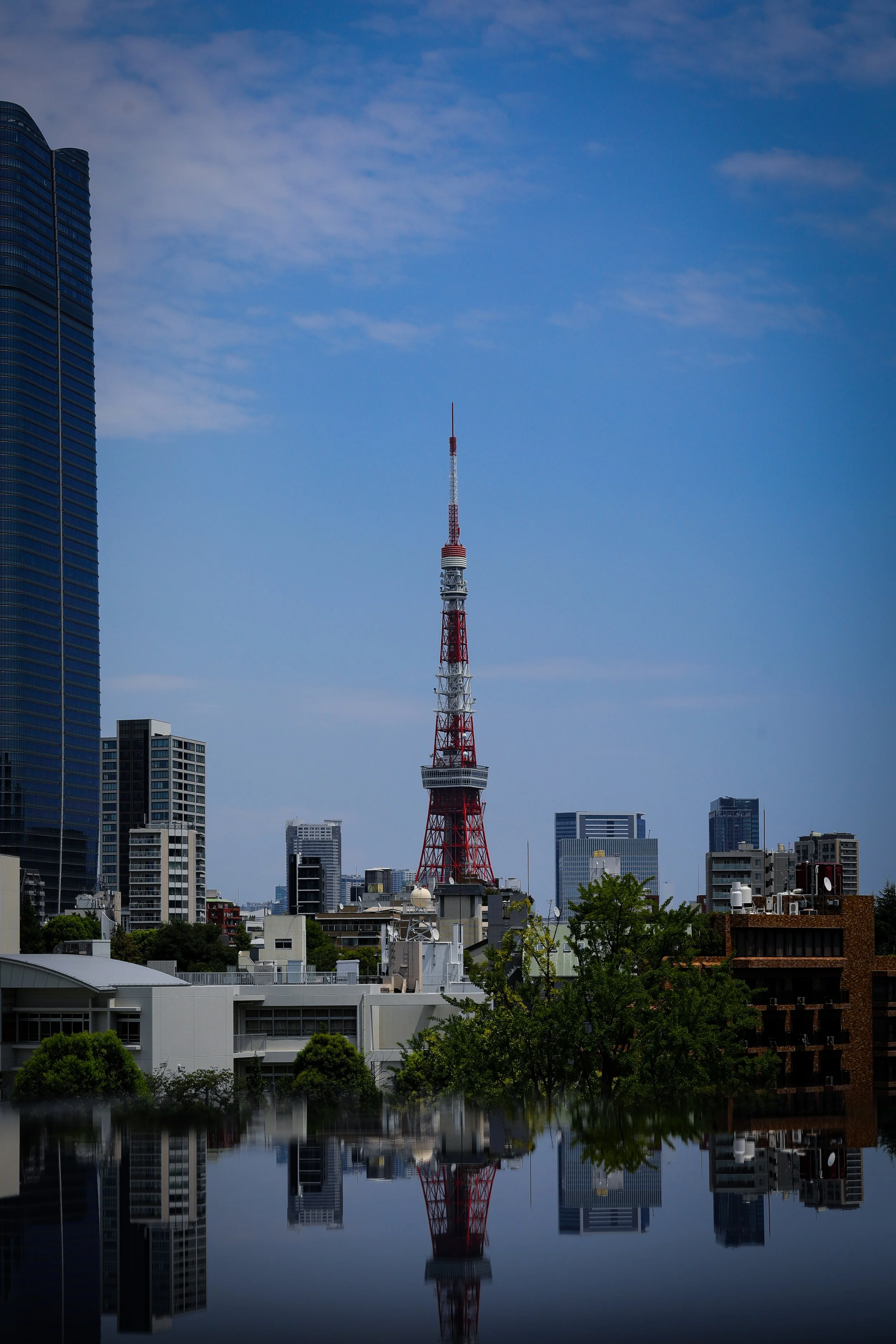IMG_9193.jpeg