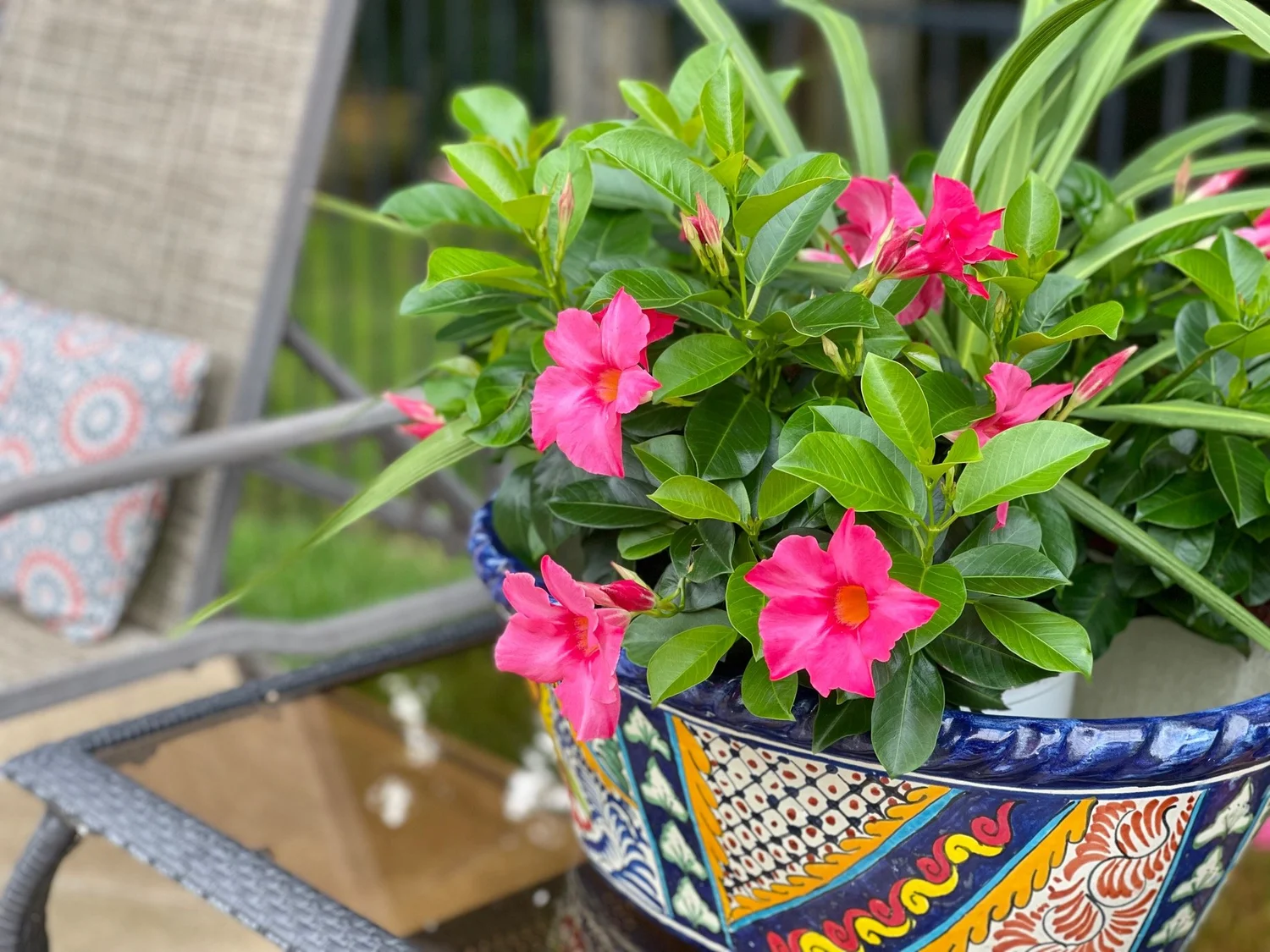 Upcoming Sales DFW Estate Sales Urban Potluck Sales