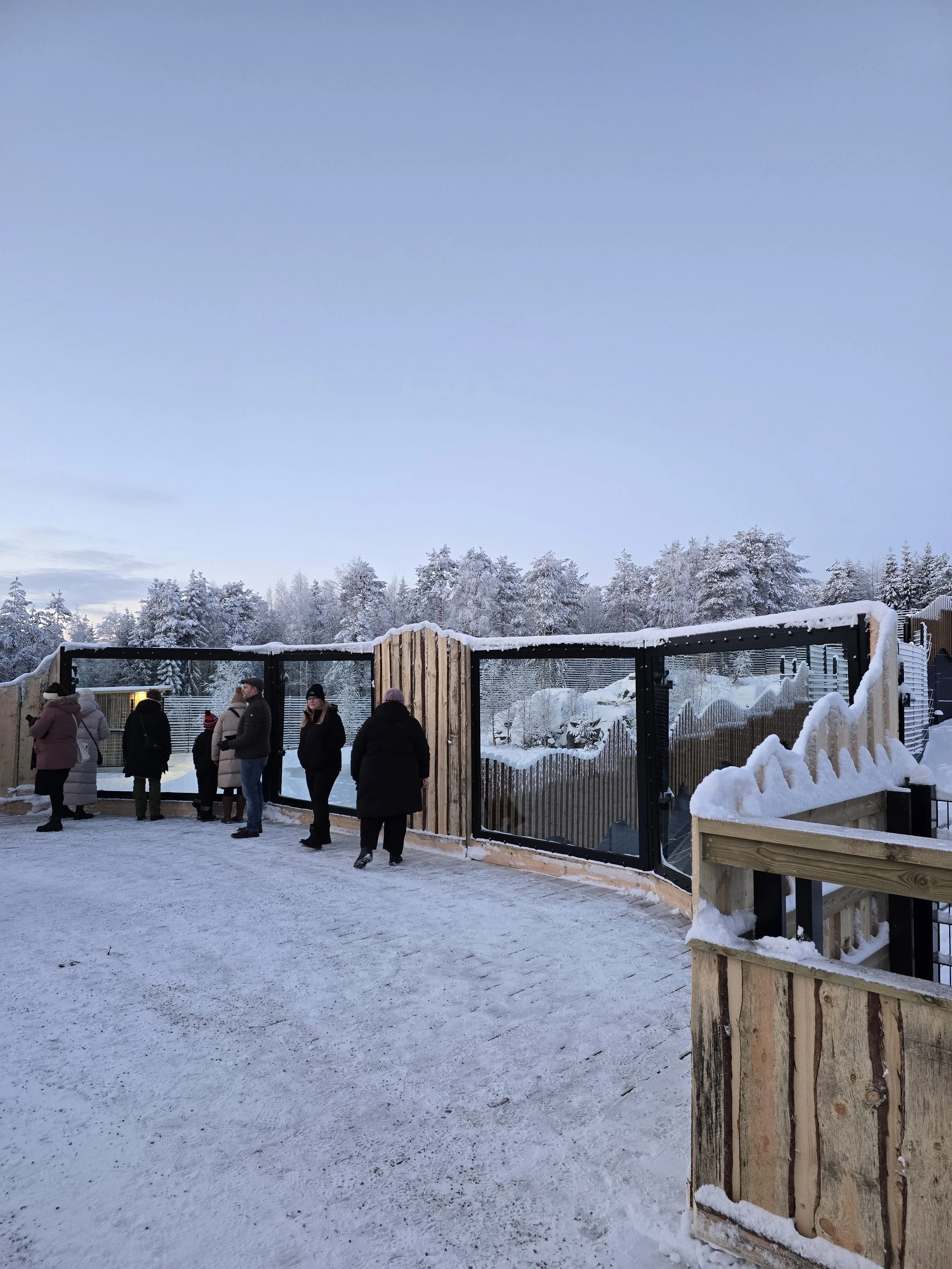 jääkarhualue 4.jpg