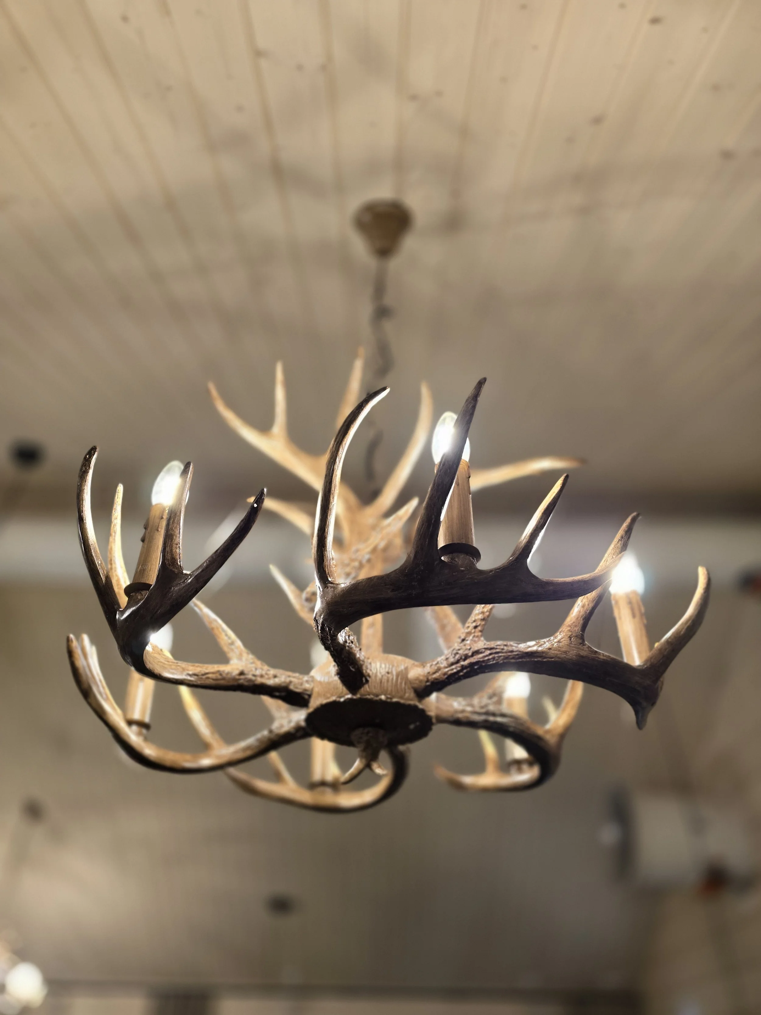 wild arctic ravintola poronsarvikattokruuun.jpg