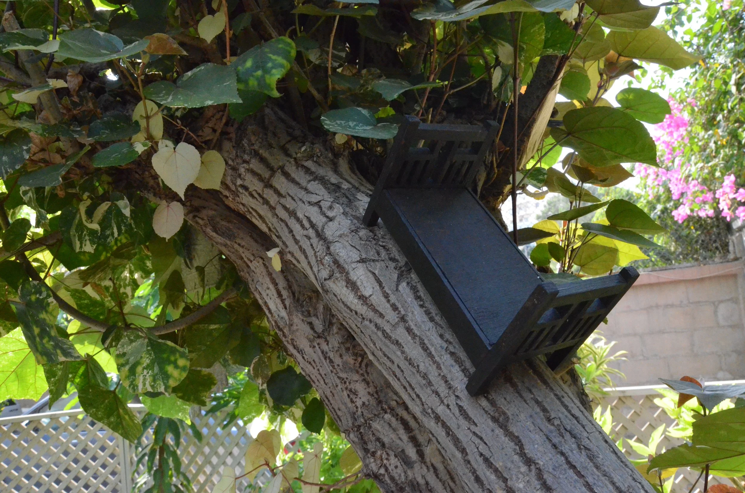 Preedy Street Snail Bed .JPG