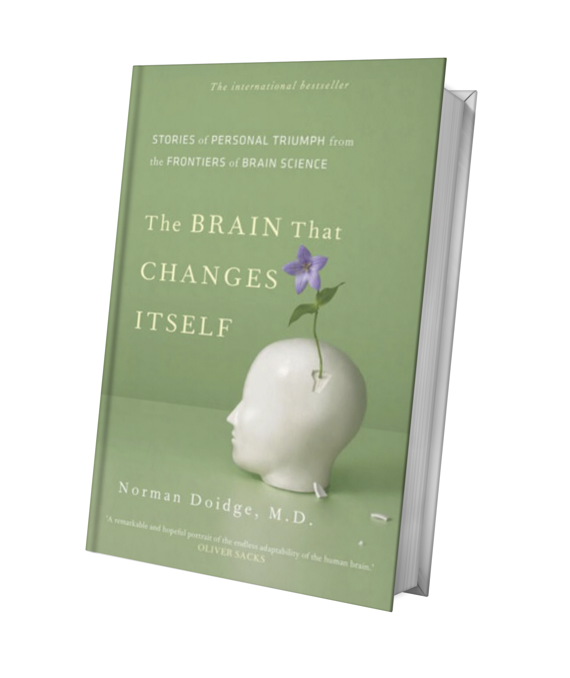 Isolated_white_book_cover copy.png