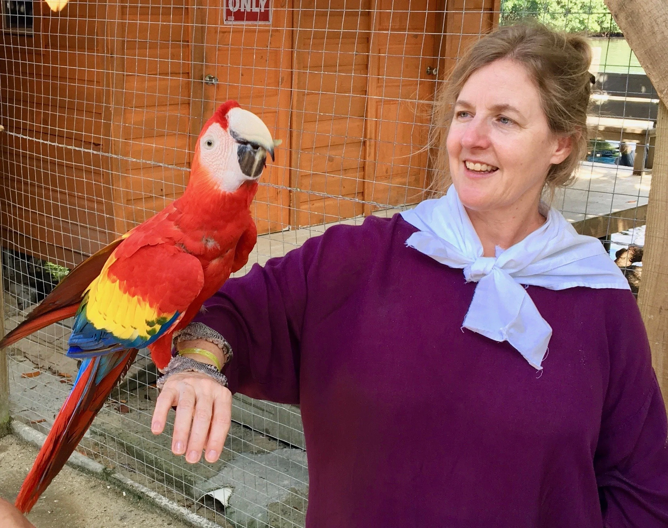 Lisa Bascom, fun pic, cropped.jpeg