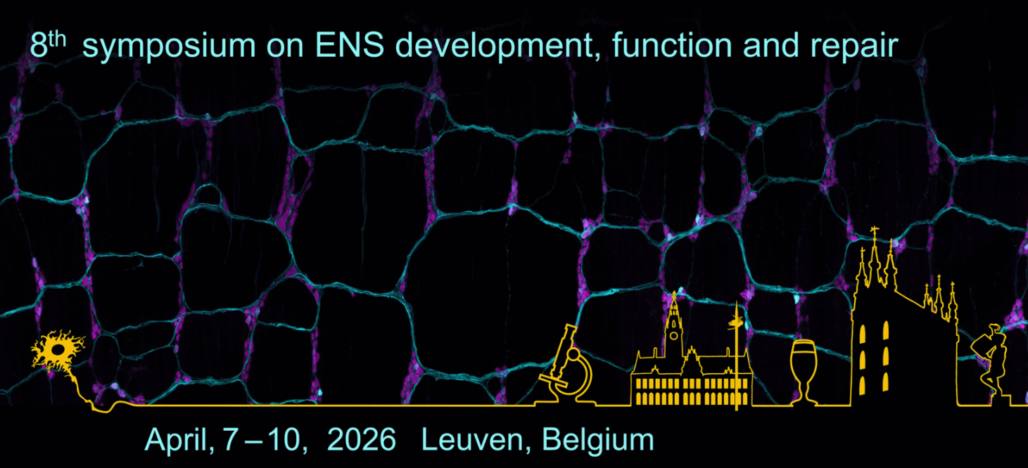 ENS Development and ANGMA