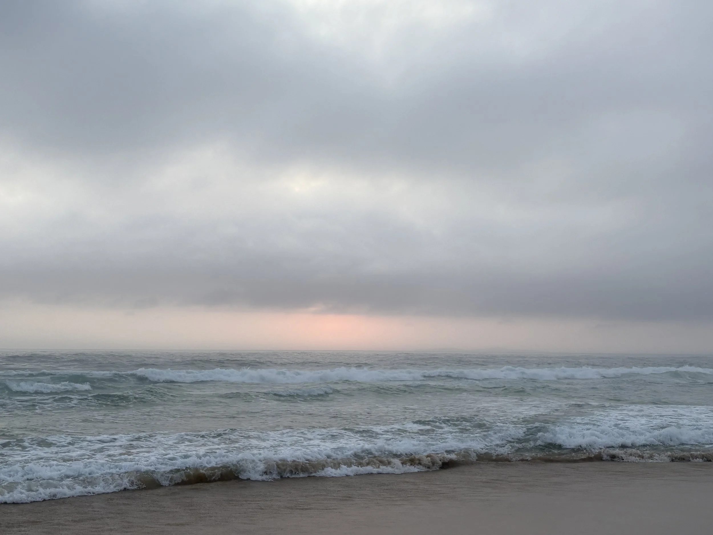 B MConchie 26.01.9 IMG_5028.JPG