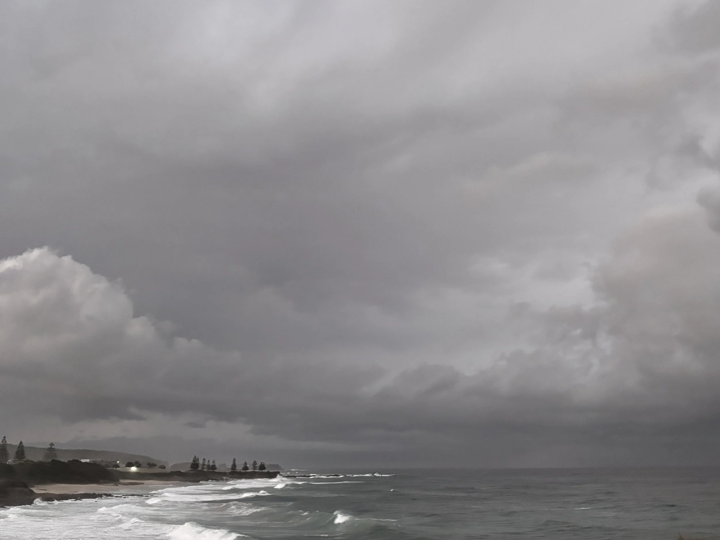 B MConchie 15.01.26 IMG_5176.JPG