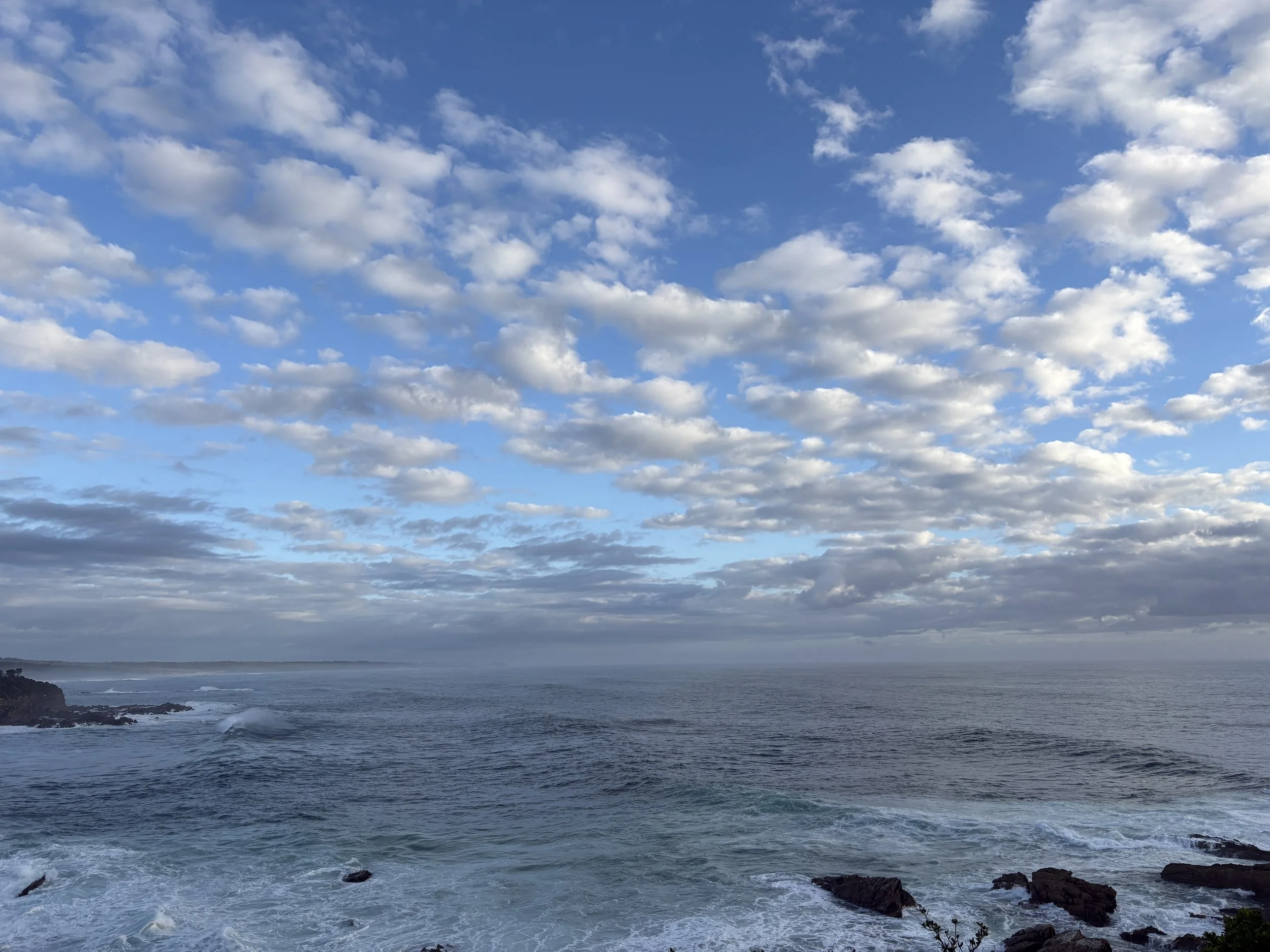 B MConchie 21.01.26 IMG_5240.JPG