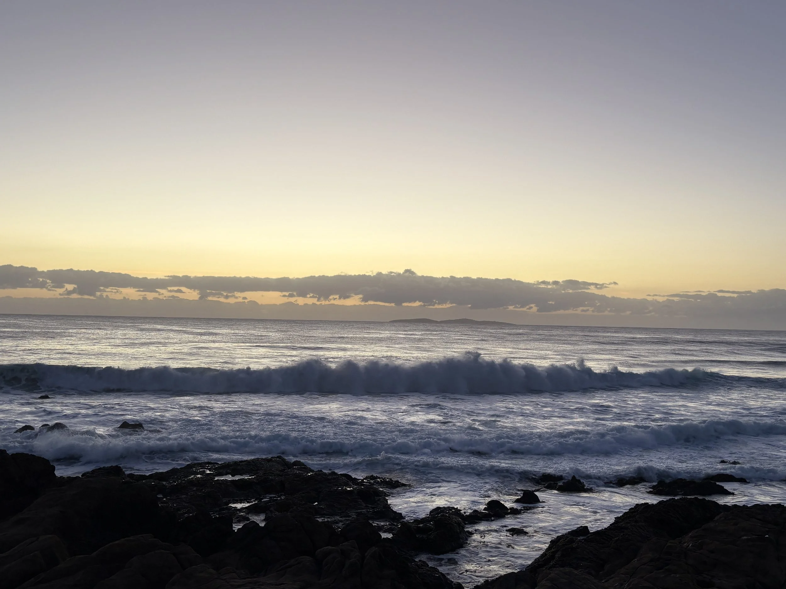 B MConchie 23.01.26 IMG_5273.JPG