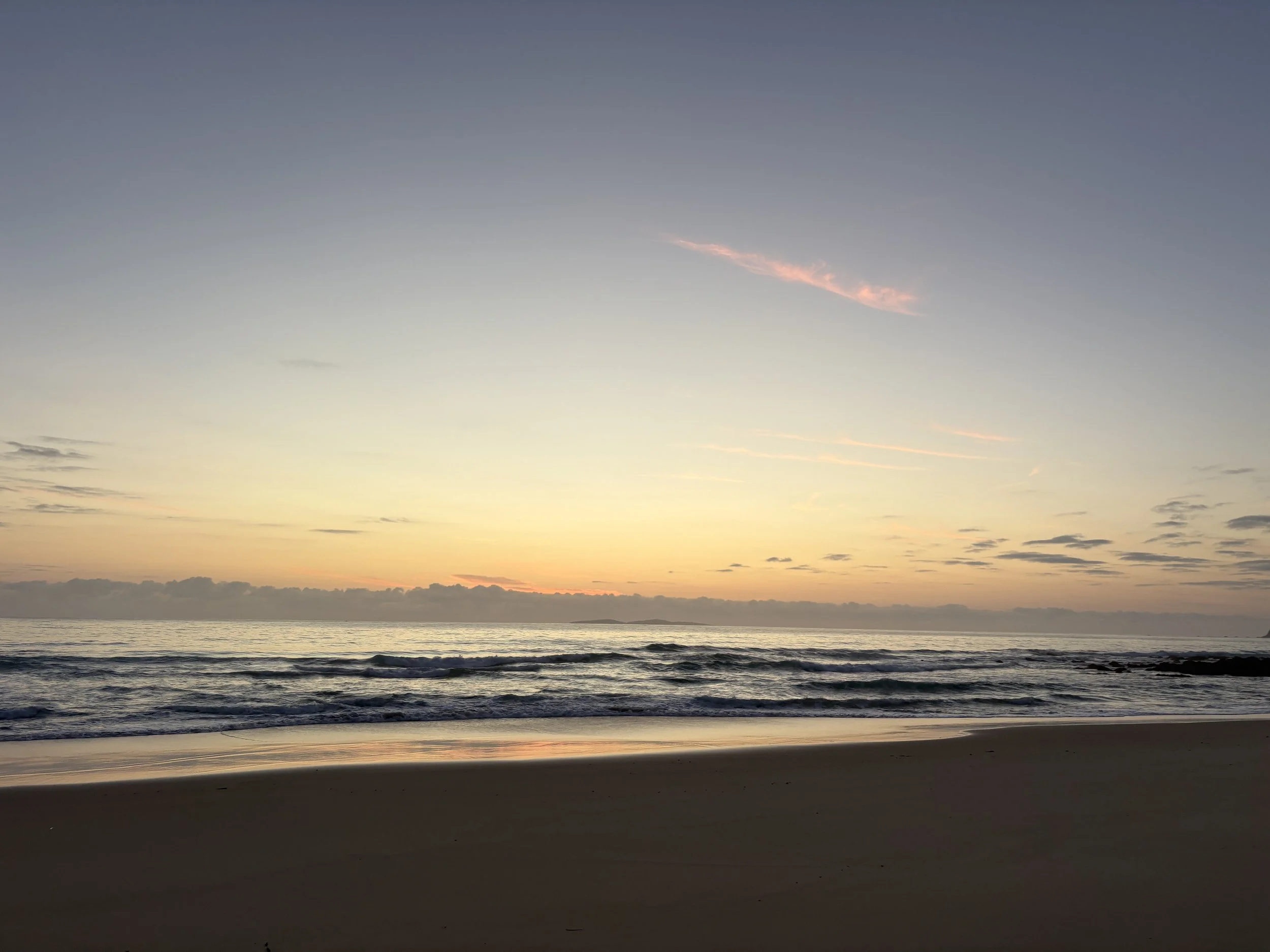 B McConchie 26.01.06  IMG_4944.JPG