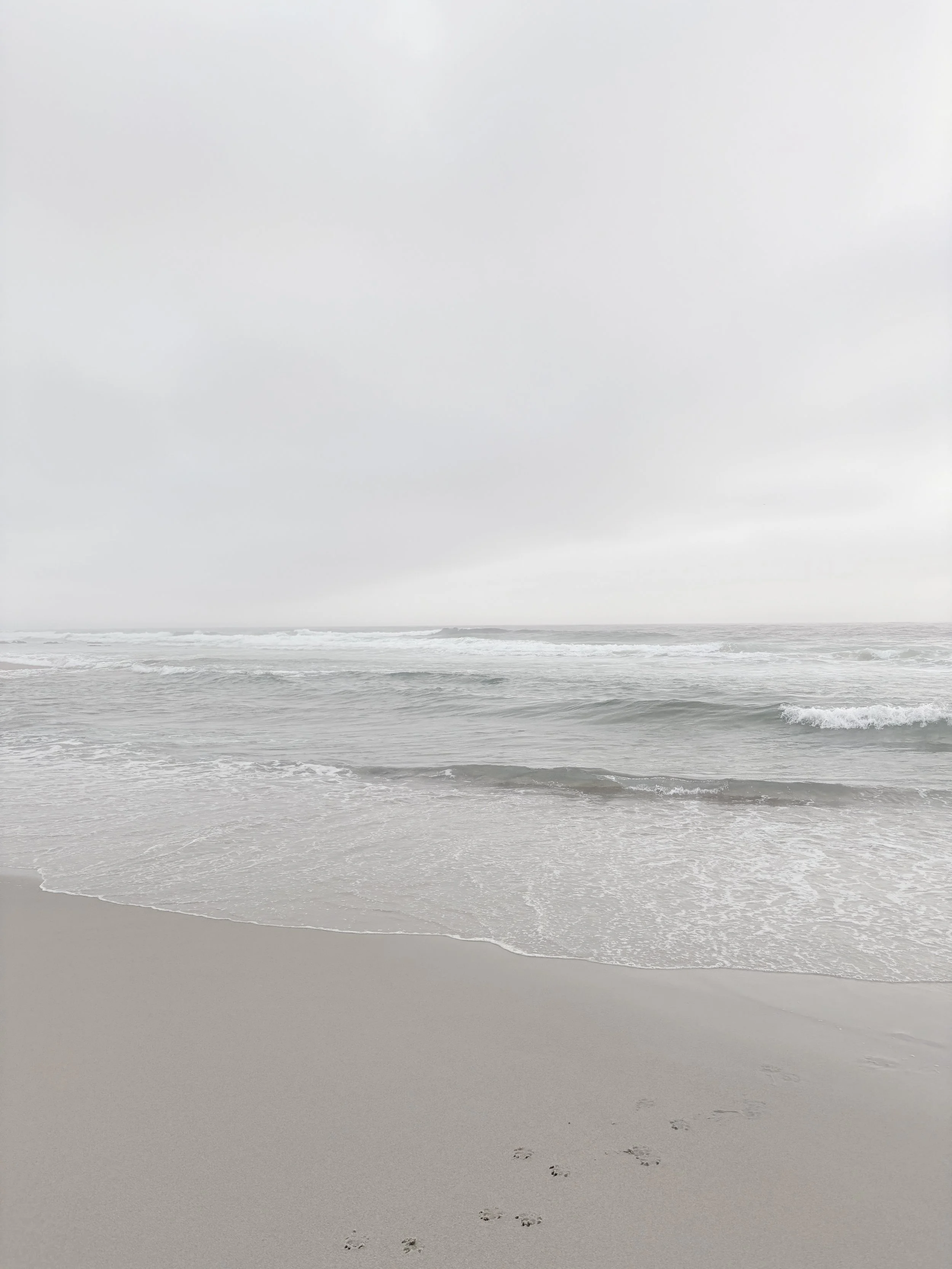 B MConchie 26.01.9 IMG_5022.JPG