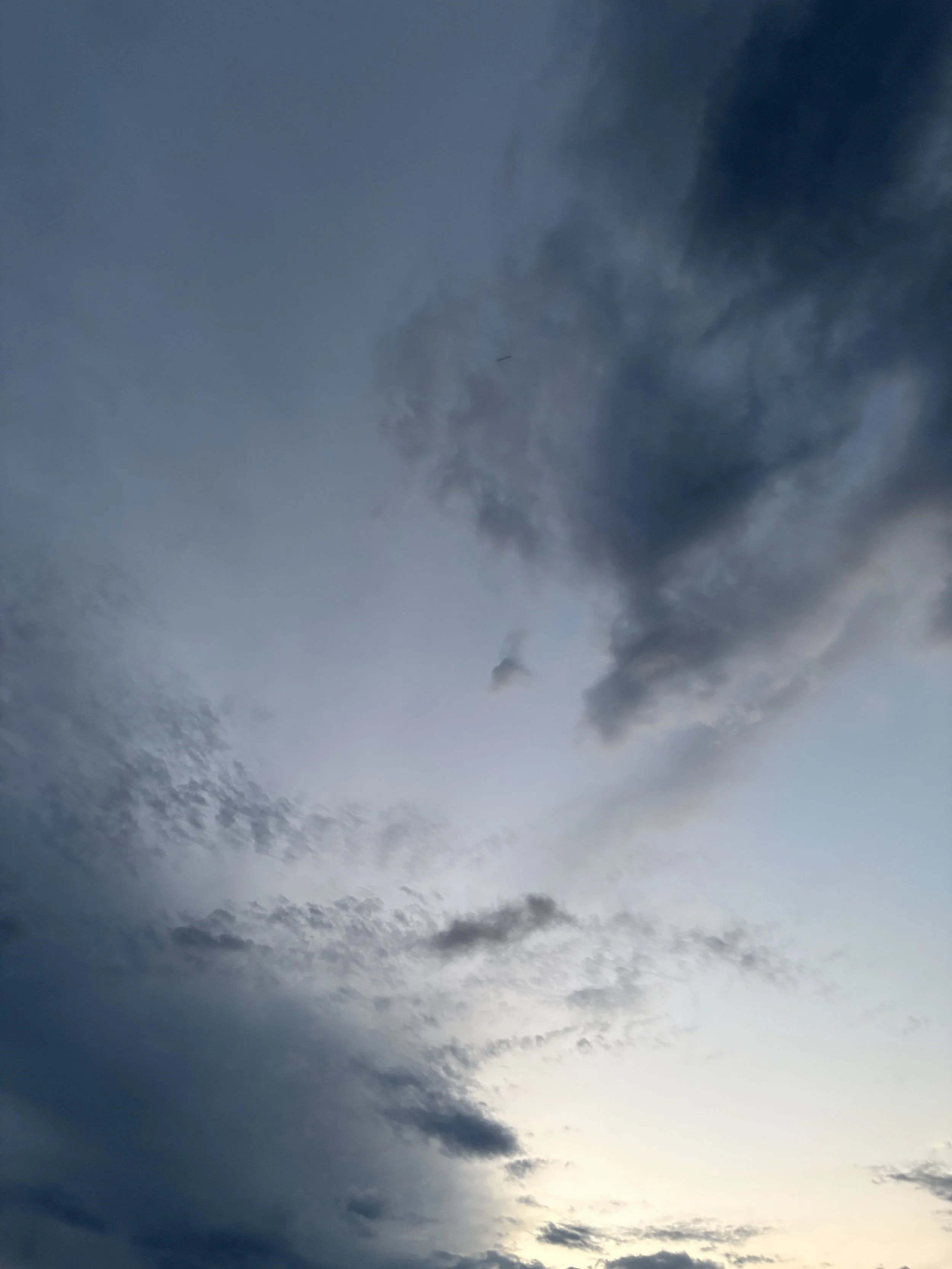 B MConchie 15.01.26 IMG_5188.JPG