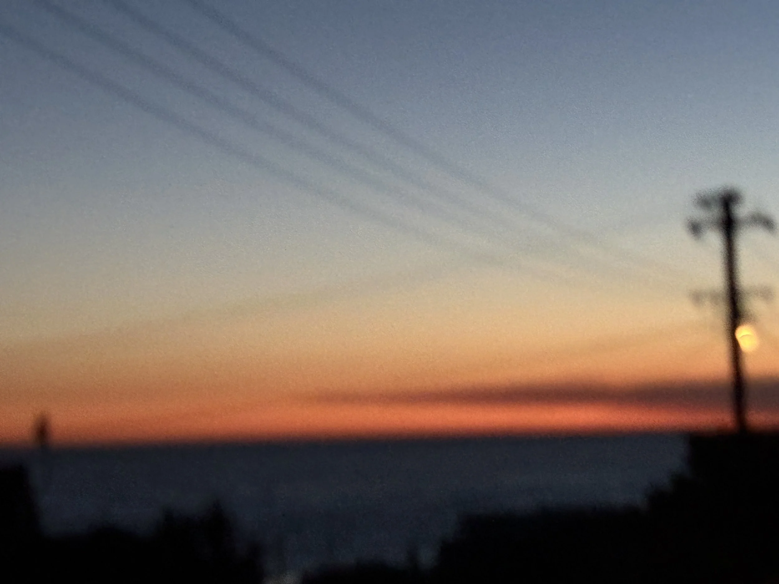 B MConchie 26.01.10 IMG_5039.JPG