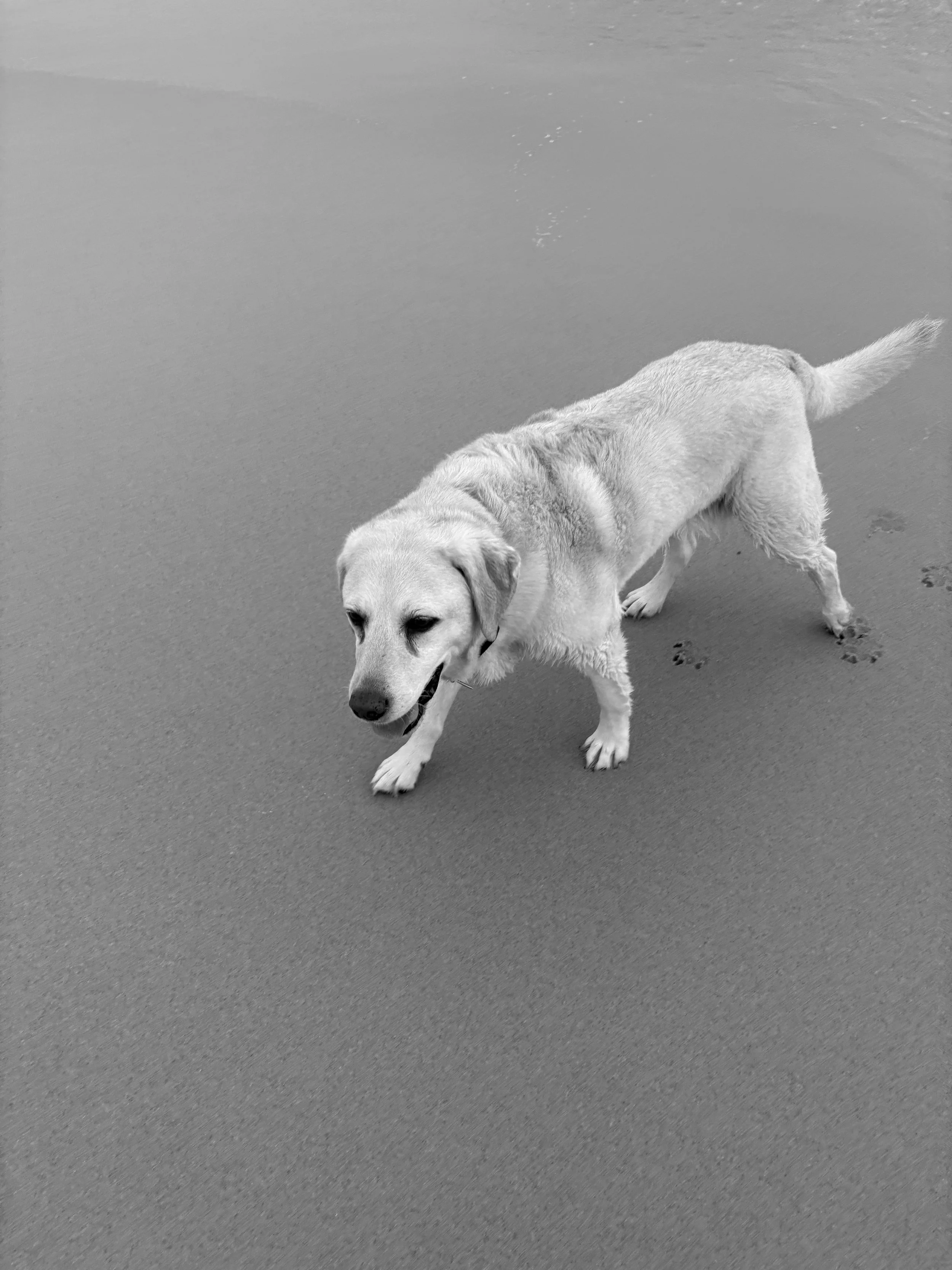 B MConchie 26.01.9 IMG_5014.JPG