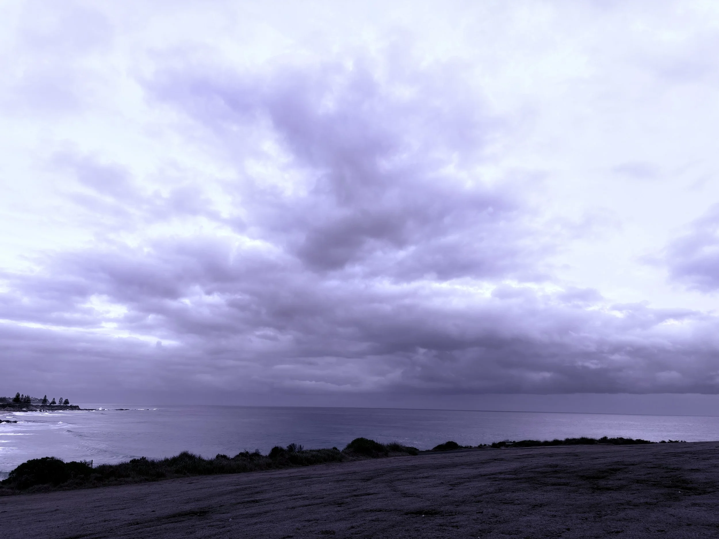 B McConchie 25.12.31 IMG_4901.JPG