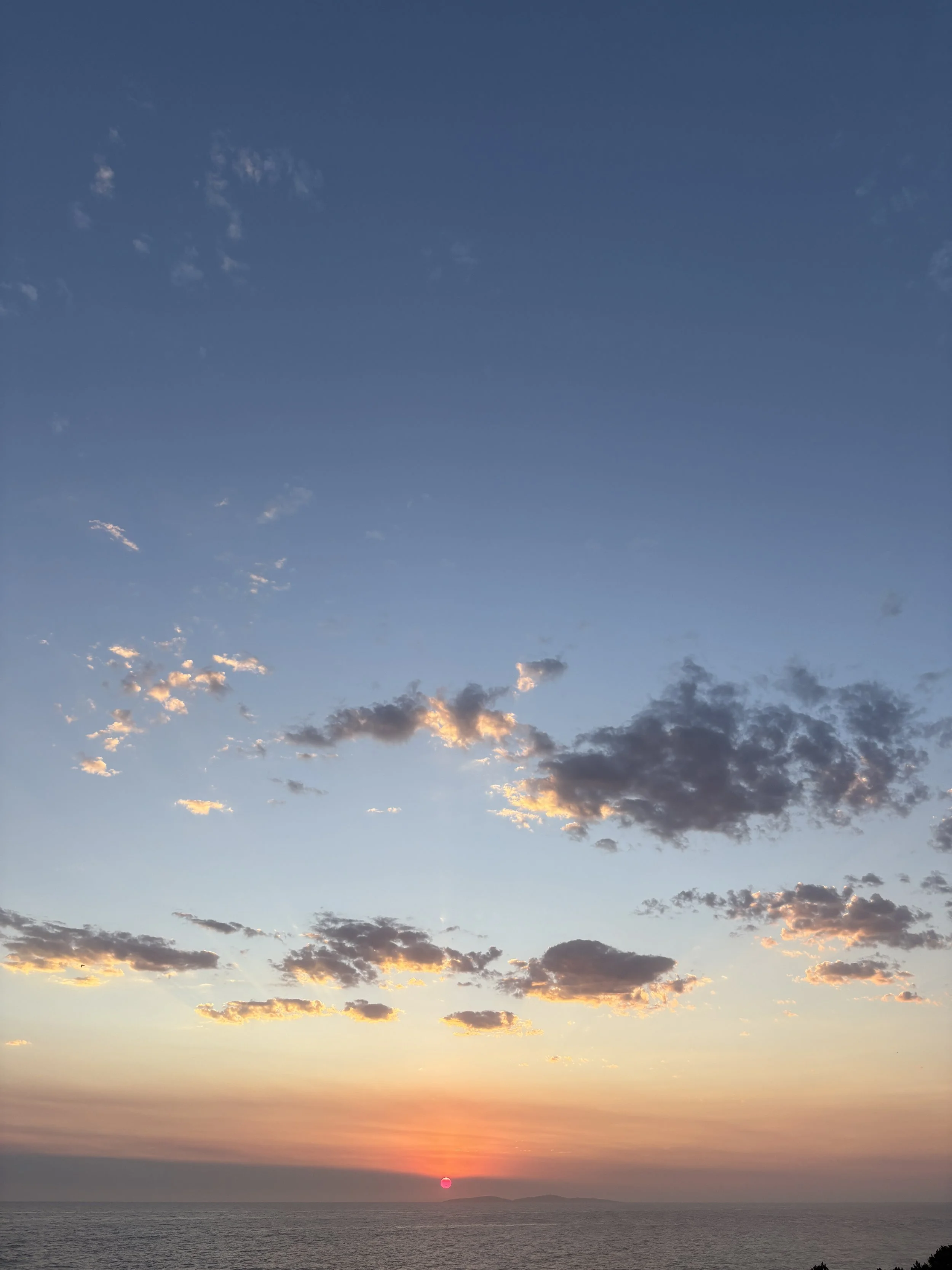 B McConchie 26.01.08 IMG_4959.JPG