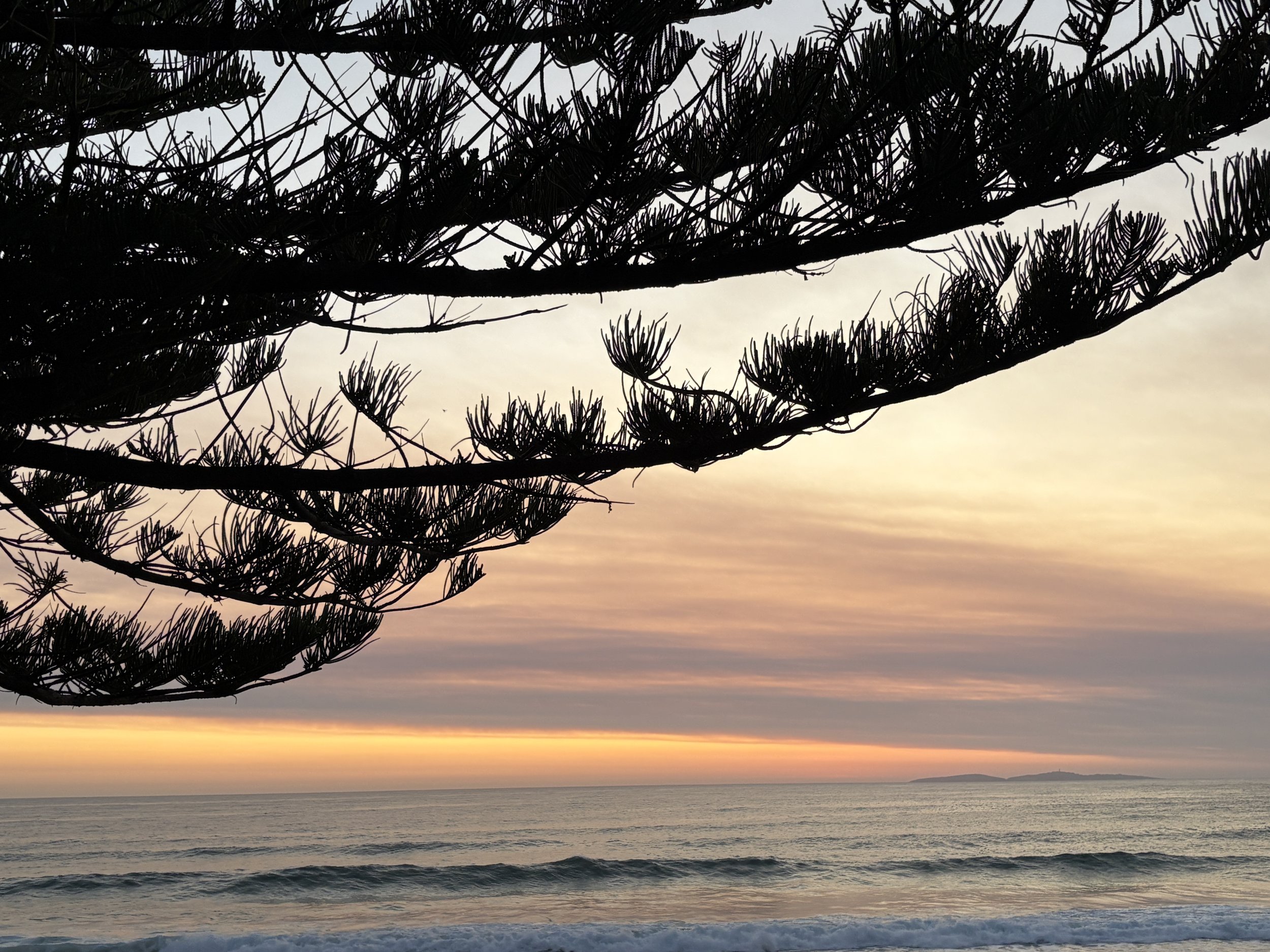 B MConchie 25.01.26  IMG_5376.JPG