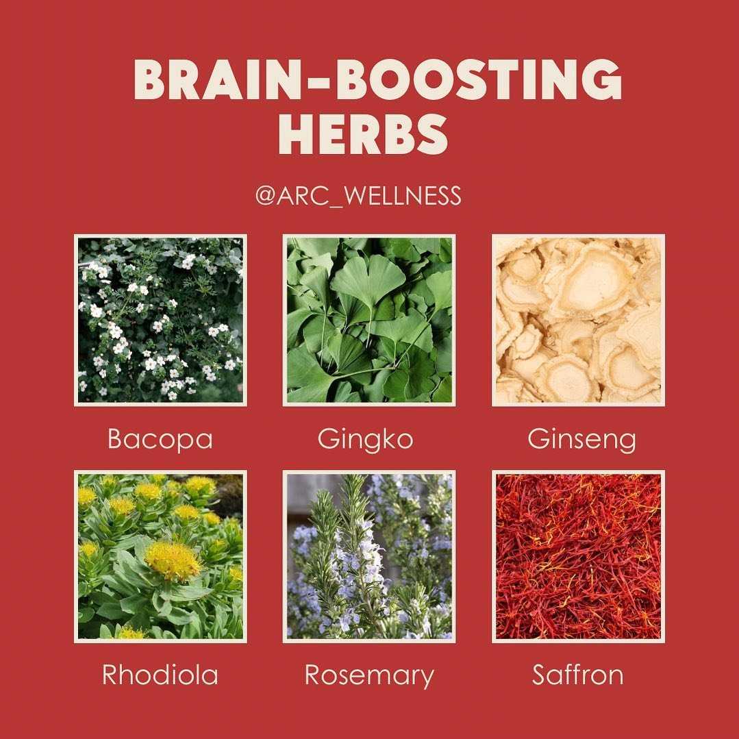 My favourite herbs for focus, memory &amp; overall cognitive function 🧠

BACOPA
Also known as &lsquo;Brahmi&rsquo; has been shown to enhance learning, concentration, and improve information processing. It also helps with stress management, reduces a