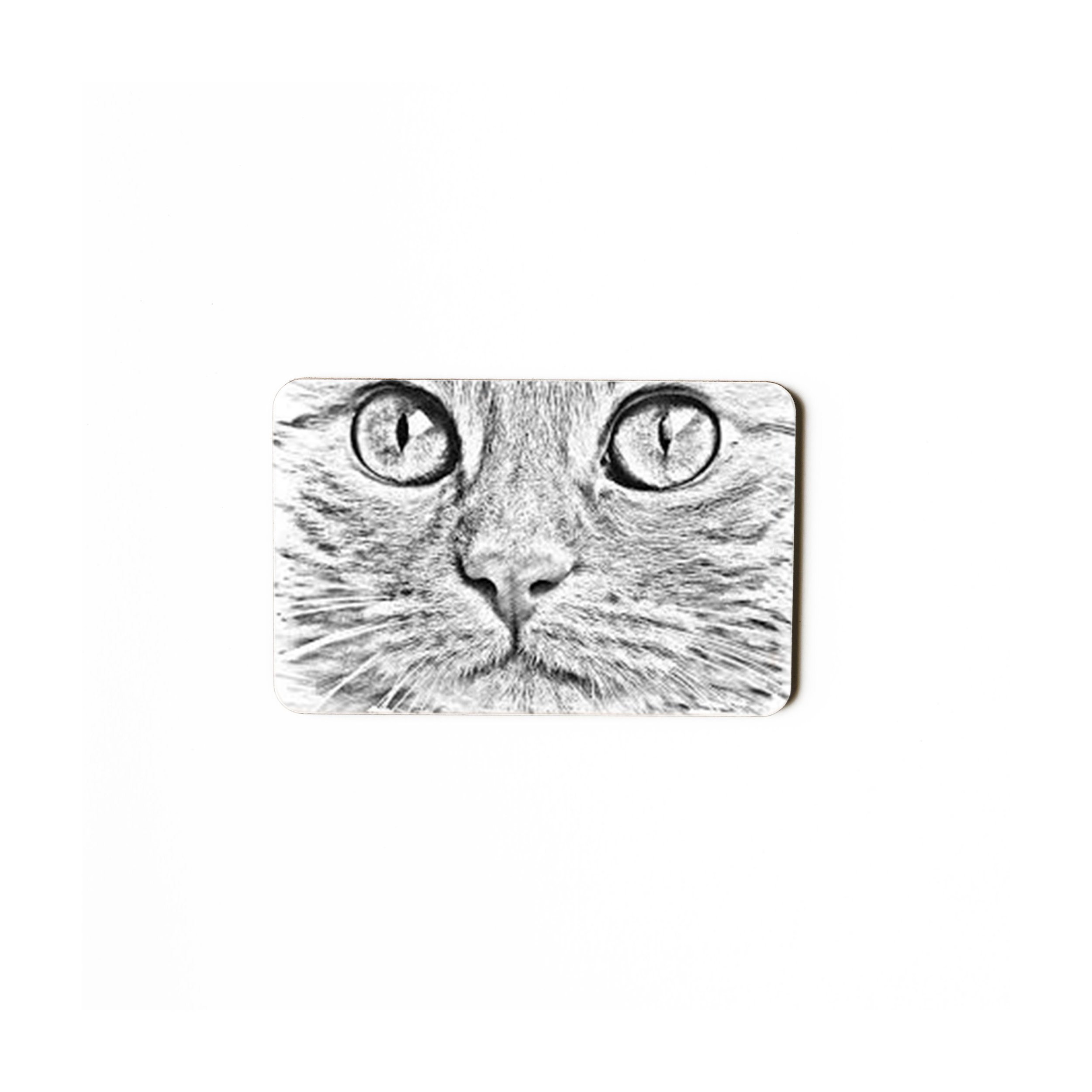 85x55_Cat .jpg