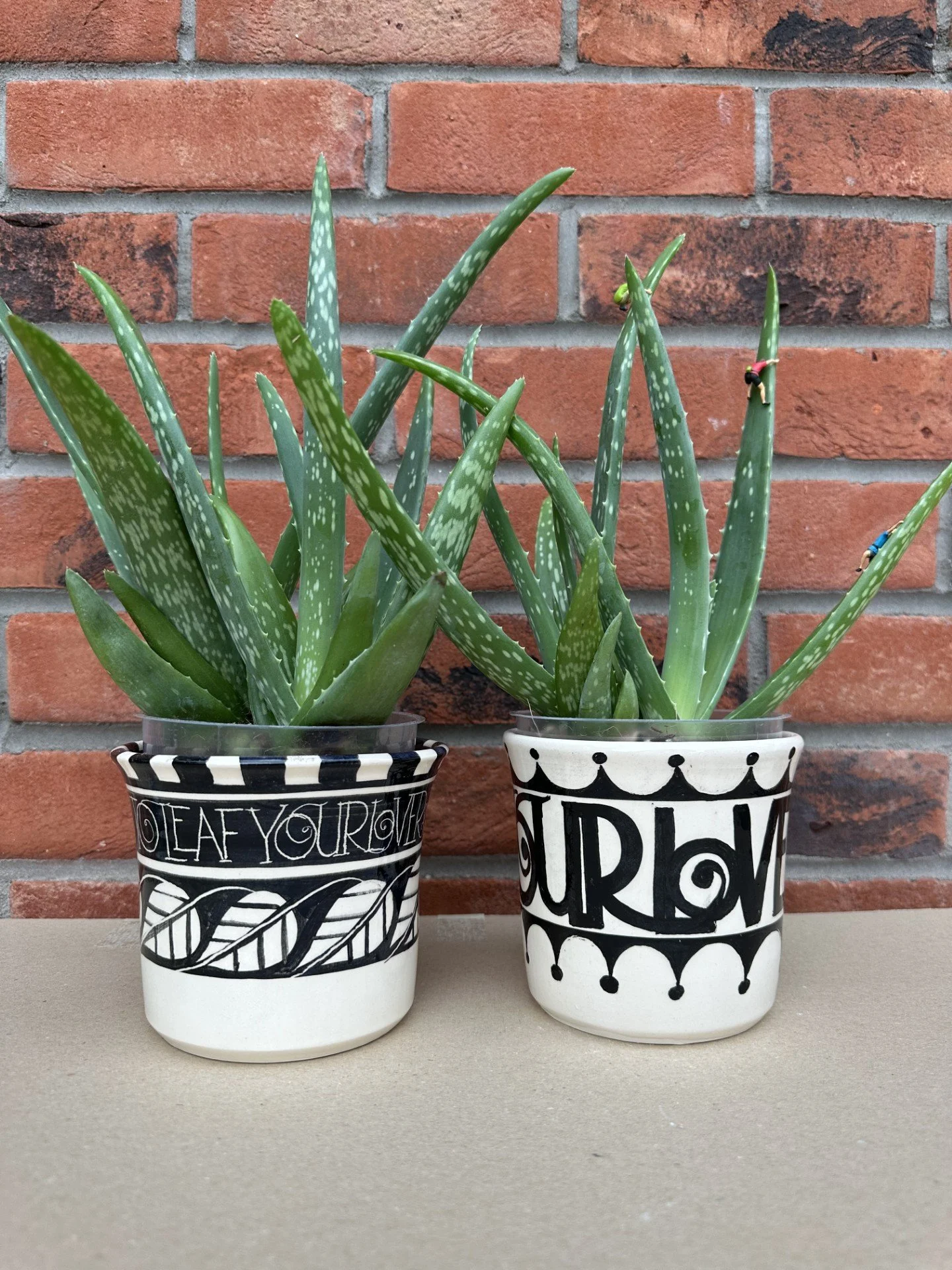 Cactus Cowboy(5).jpg