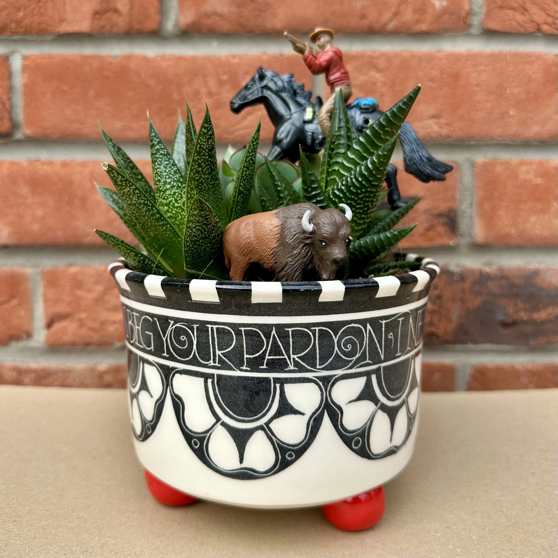 Cactus Cowboy(2).jpg